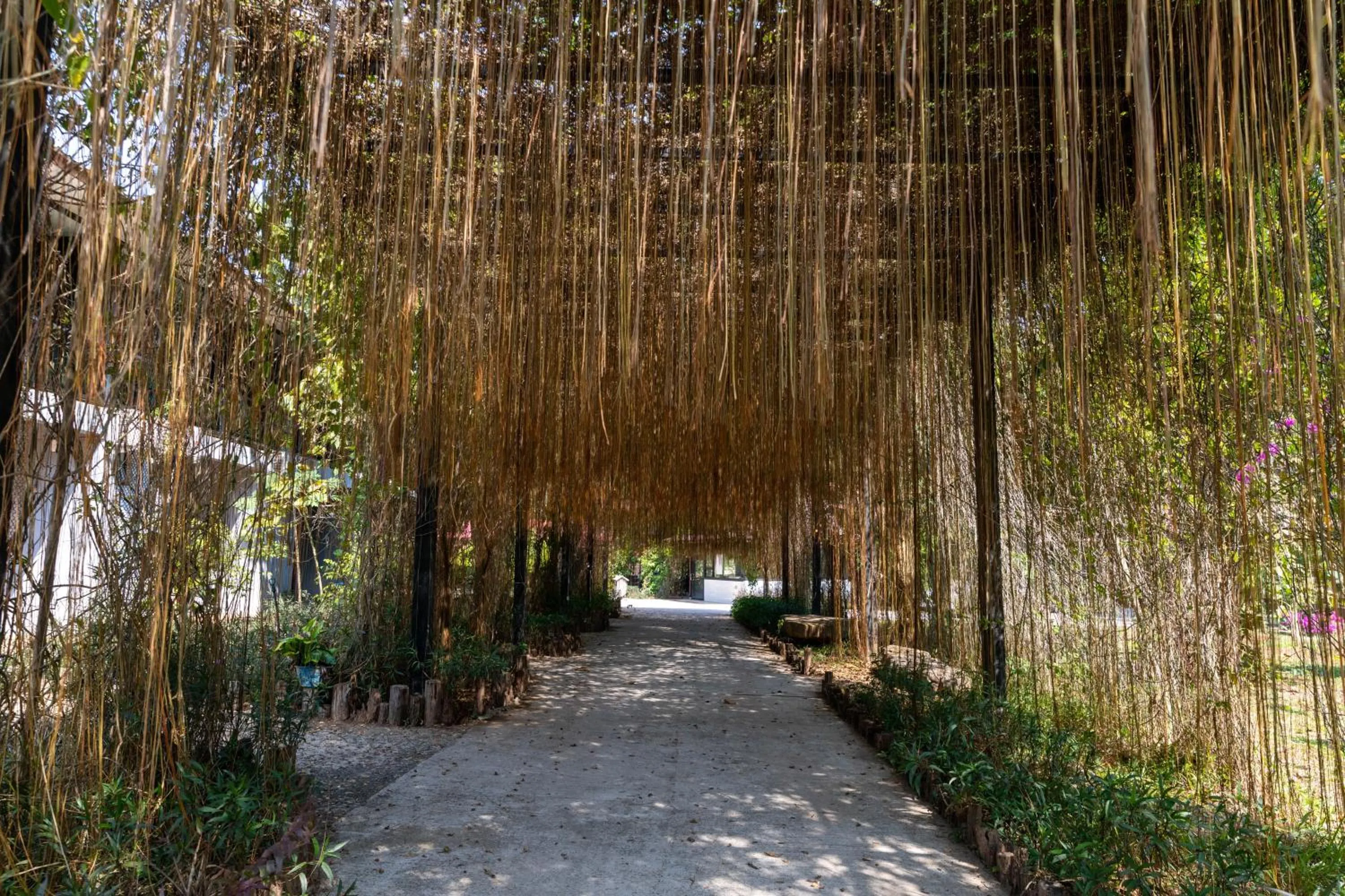 Natural landscape in Dansavanh Namngum Resort