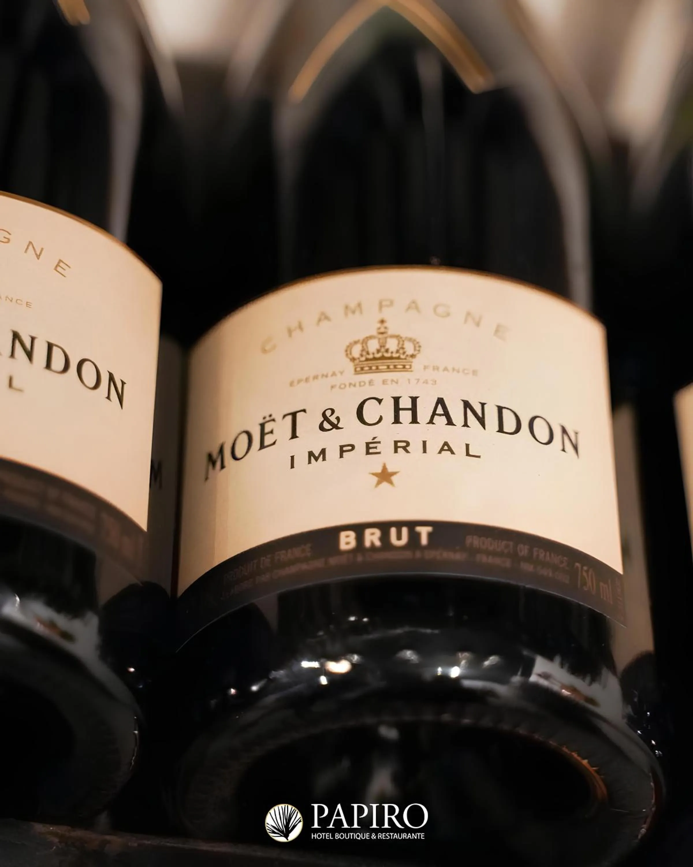 Restaurant/places to eat in Pousada Papiro Boutique