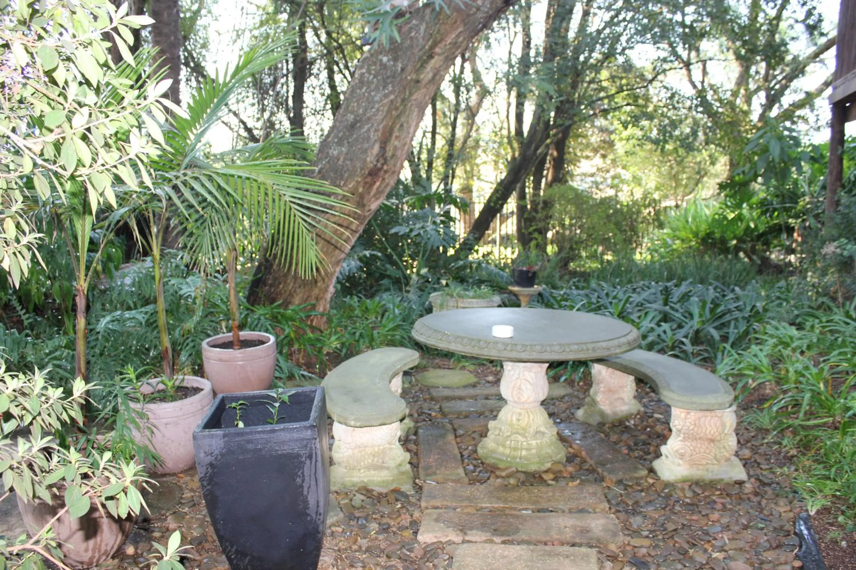 Garden in The Sabie Town House Guest Lodge