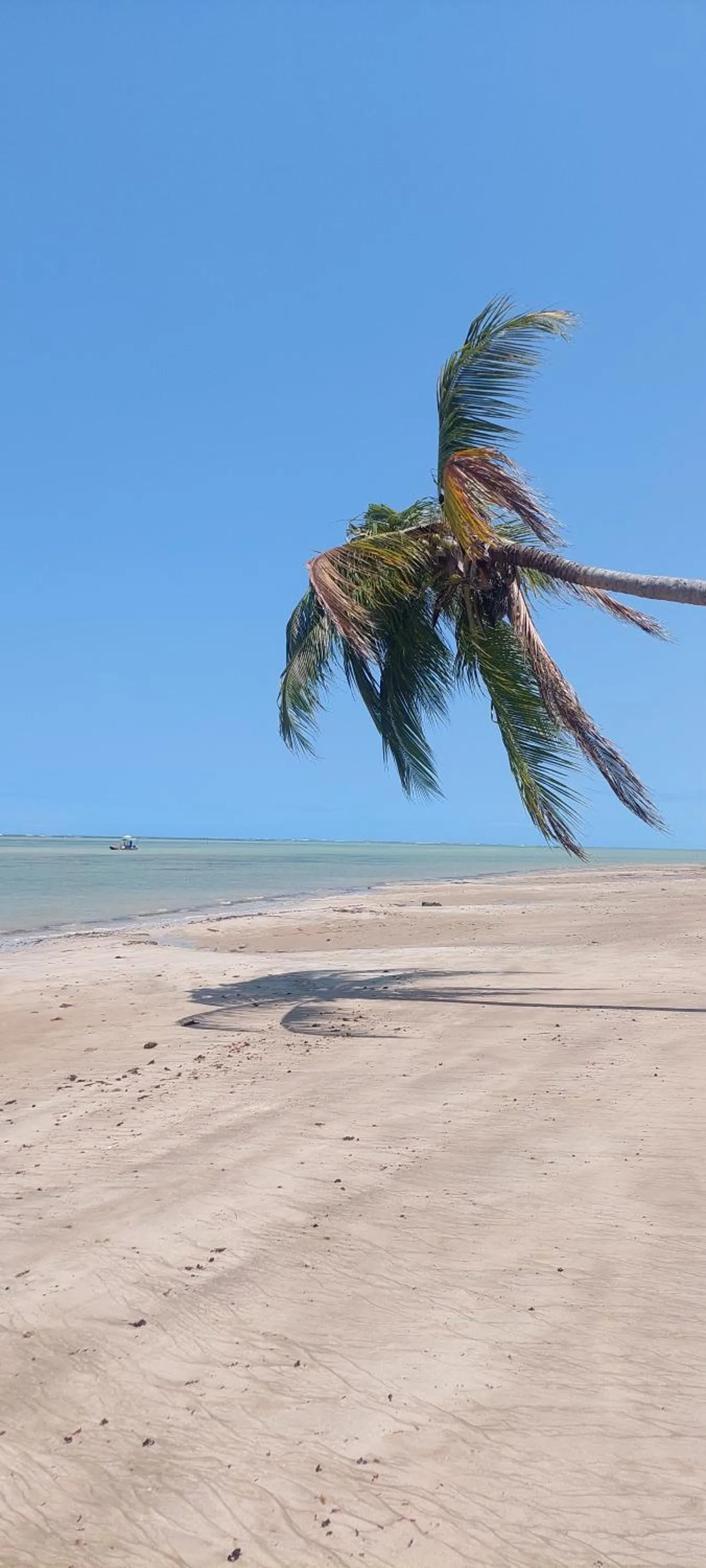 Arataba Hotel Boutique e Bistrô - 150 mts do mar