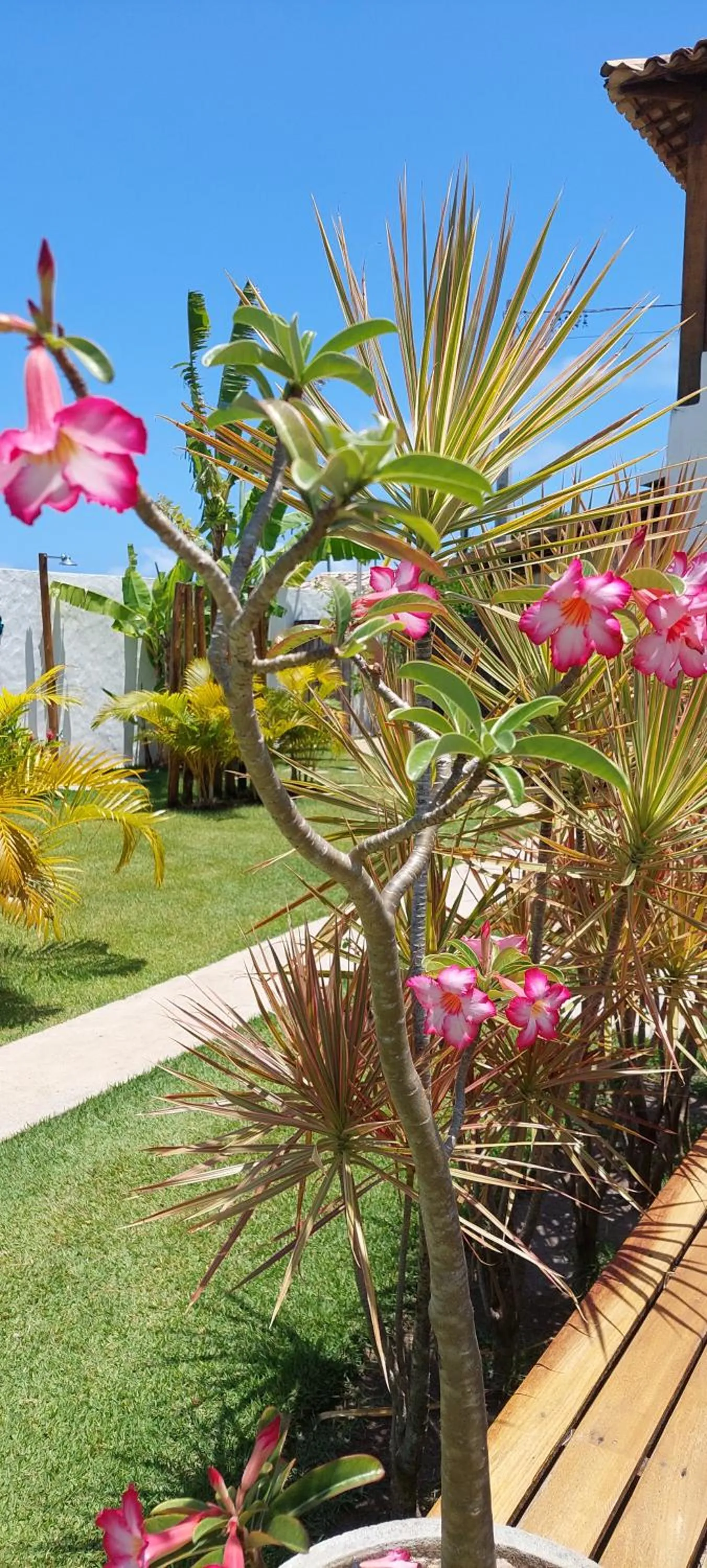 Arataba Hotel Boutique e Bistrô - 150 mts do mar