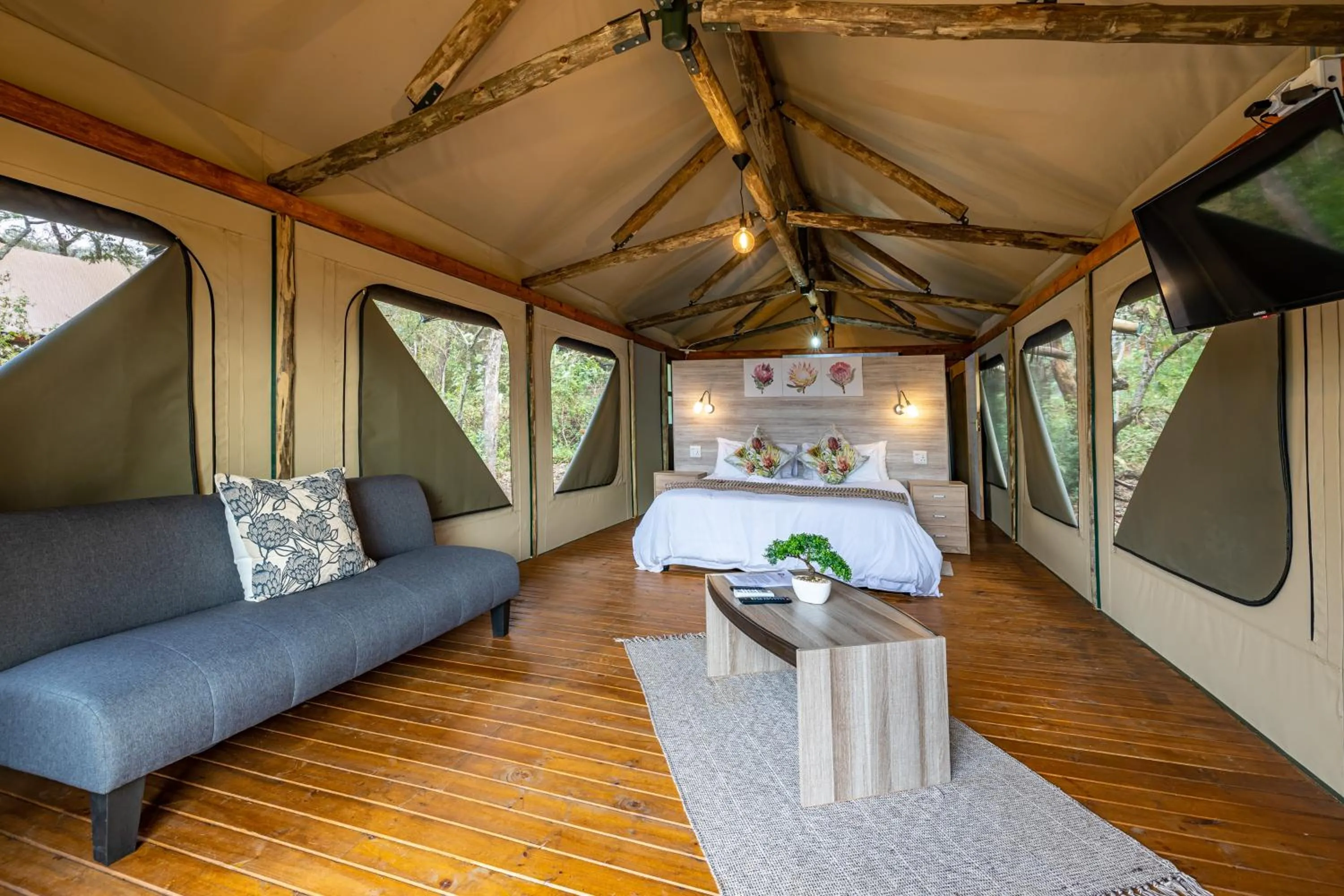 TV and multimedia in Tranquil Nest