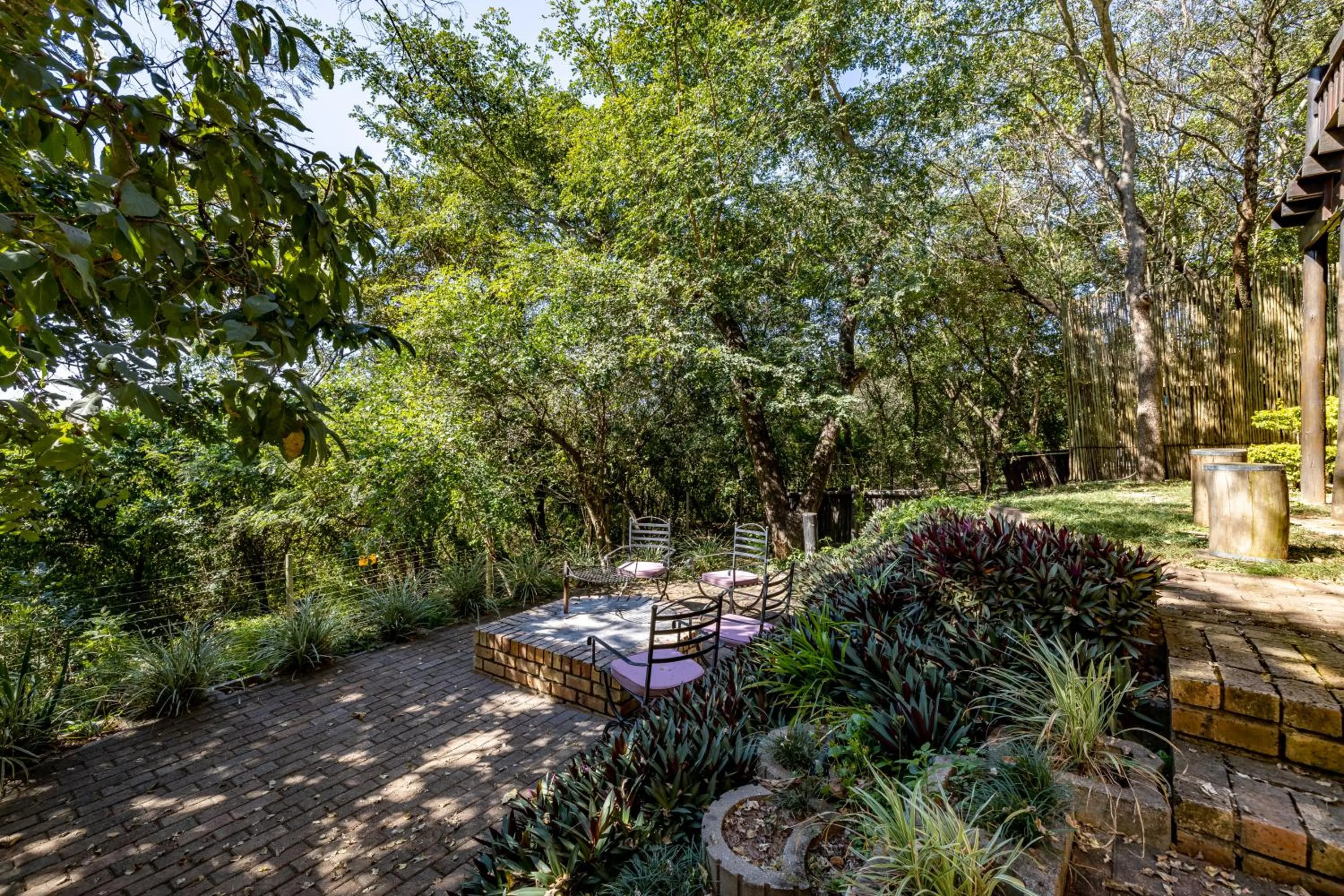 Natural landscape in Tranquil Nest