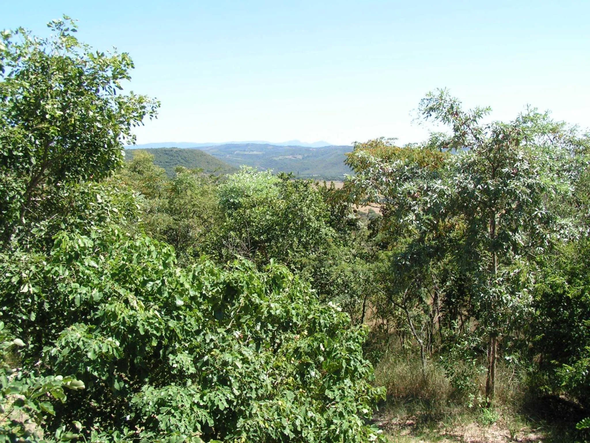 View (from property/room) in Tranquil Nest