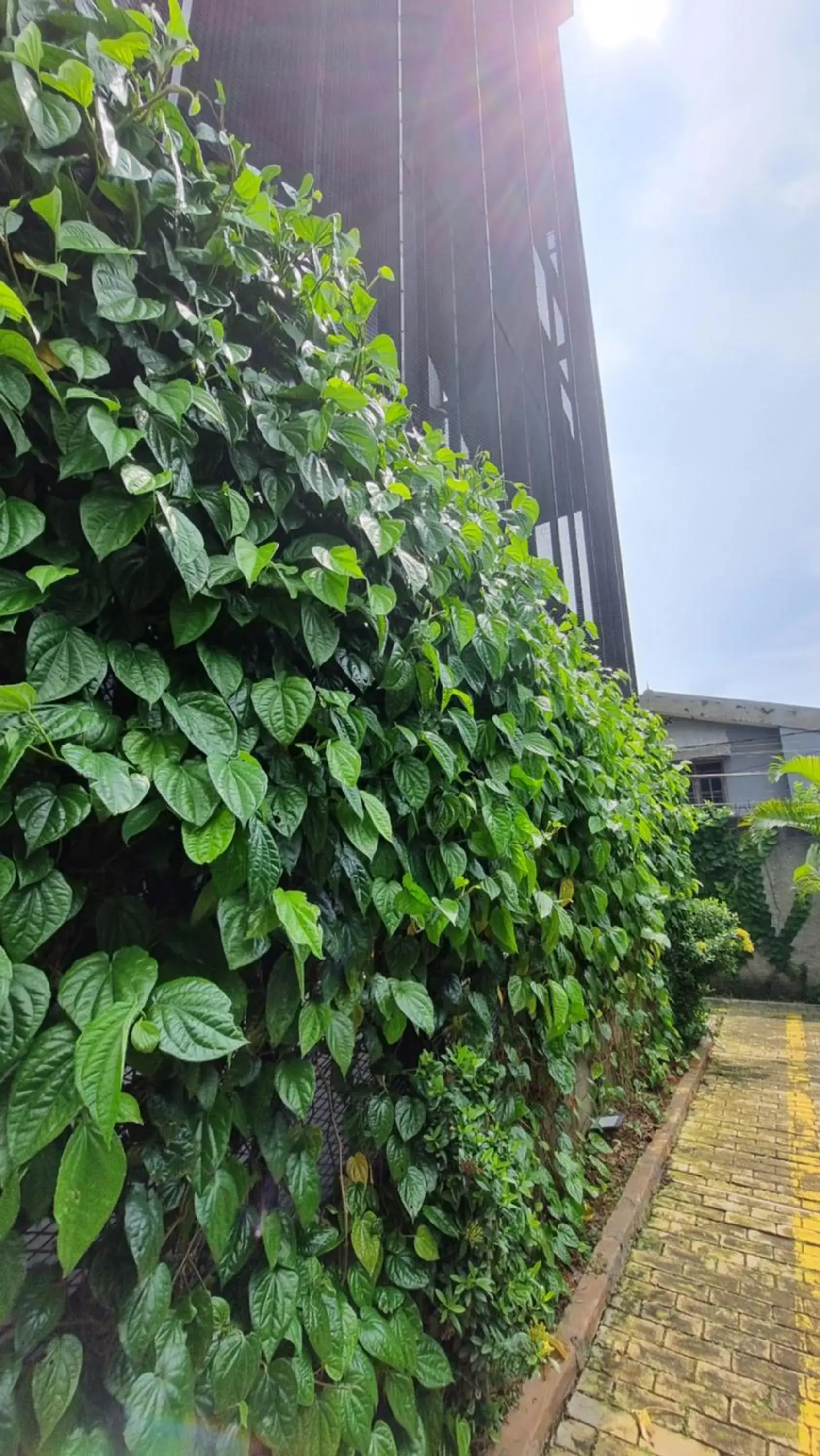 Property building in Guest House 555 NKI Property building in Guest House 555 NKI