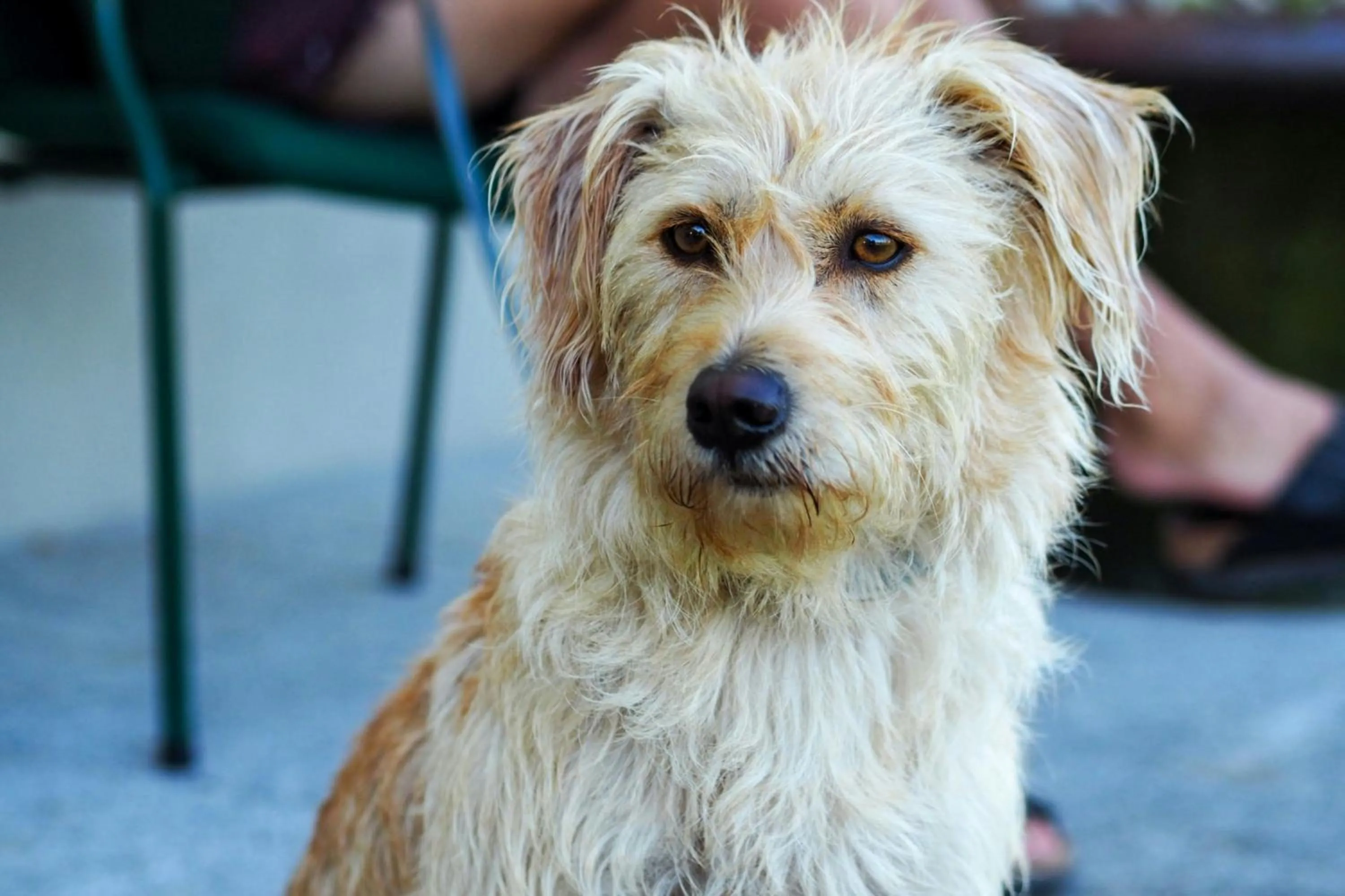 Other in Arabella Jagdhof Resort am Fuschlsee, a Tribute Portfolio Hotel