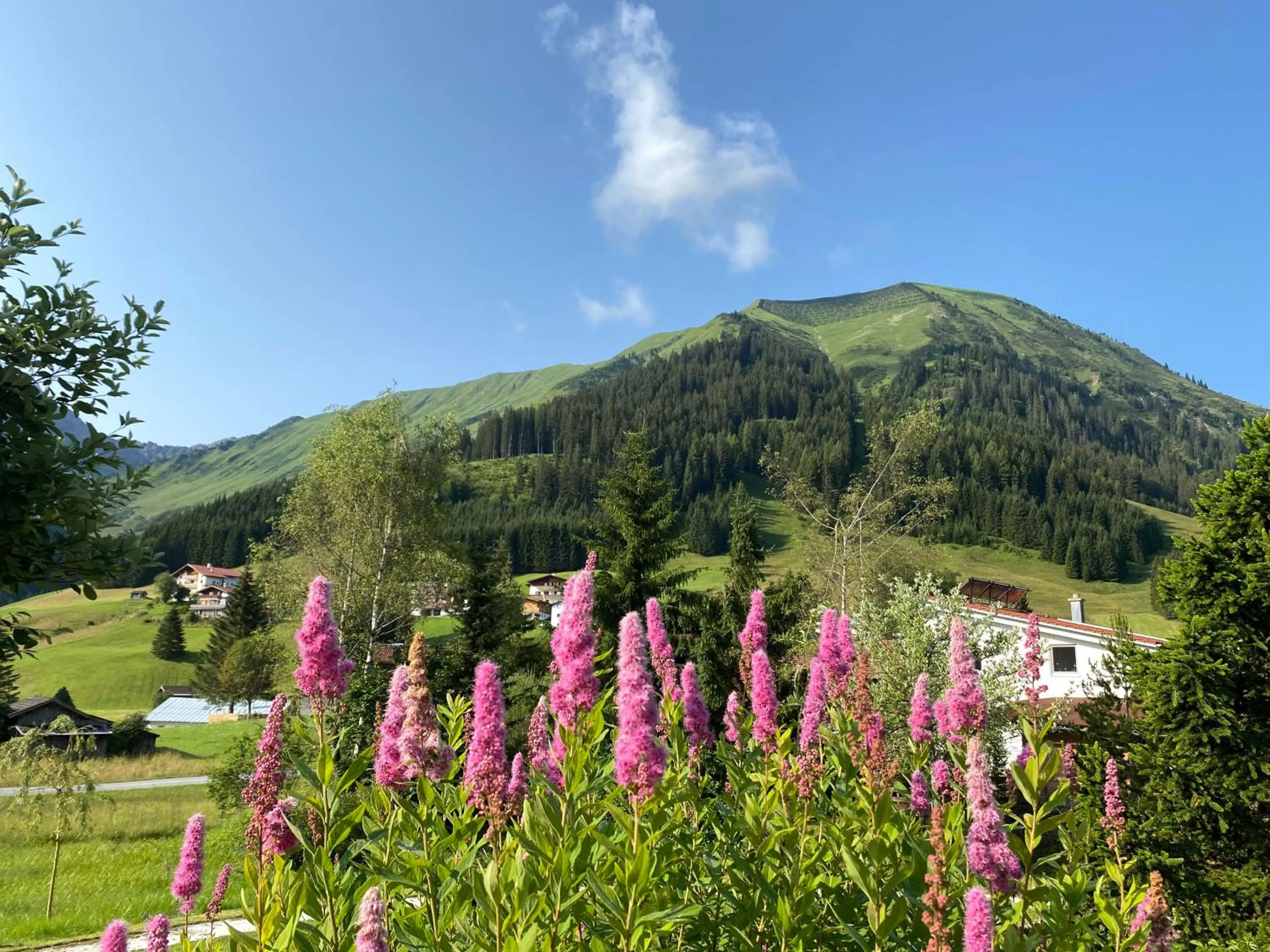 Garden in Hotel Singer – Relais & Châteaux