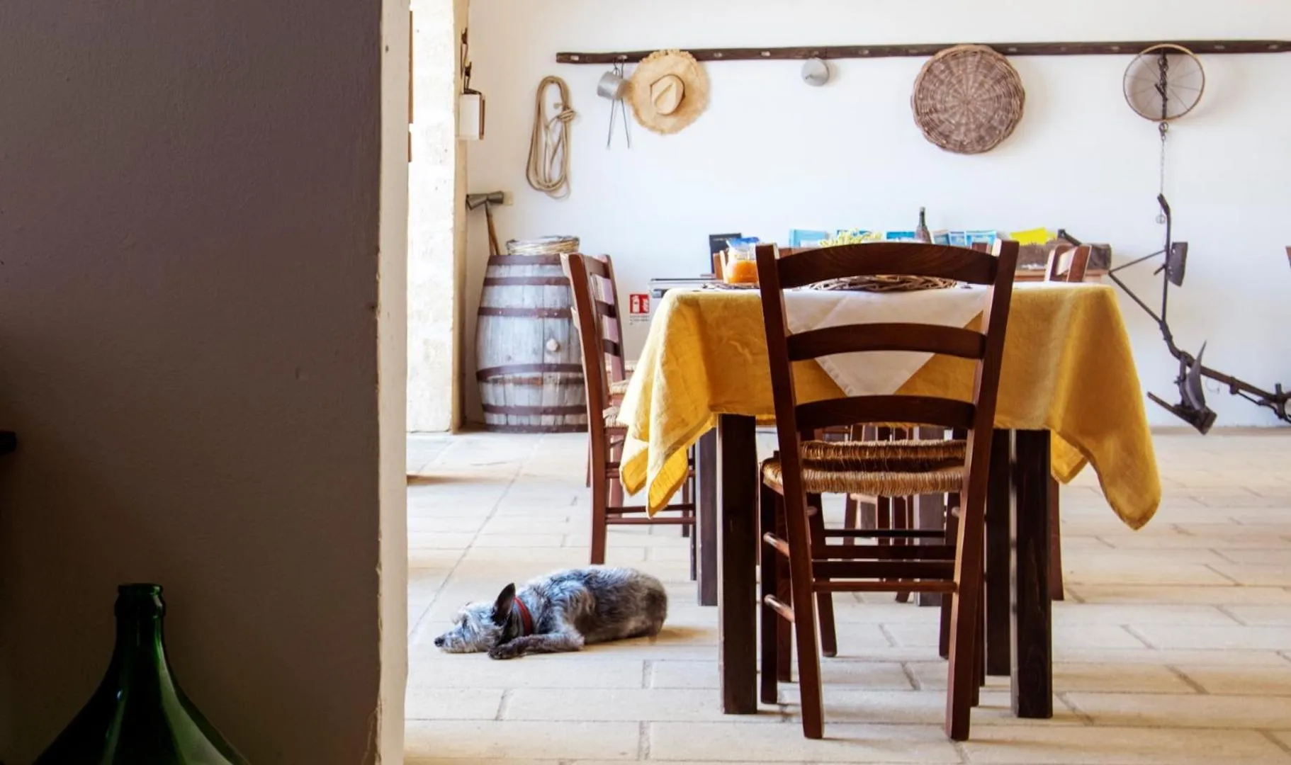 Restaurant/places to eat in Masseria Uccio