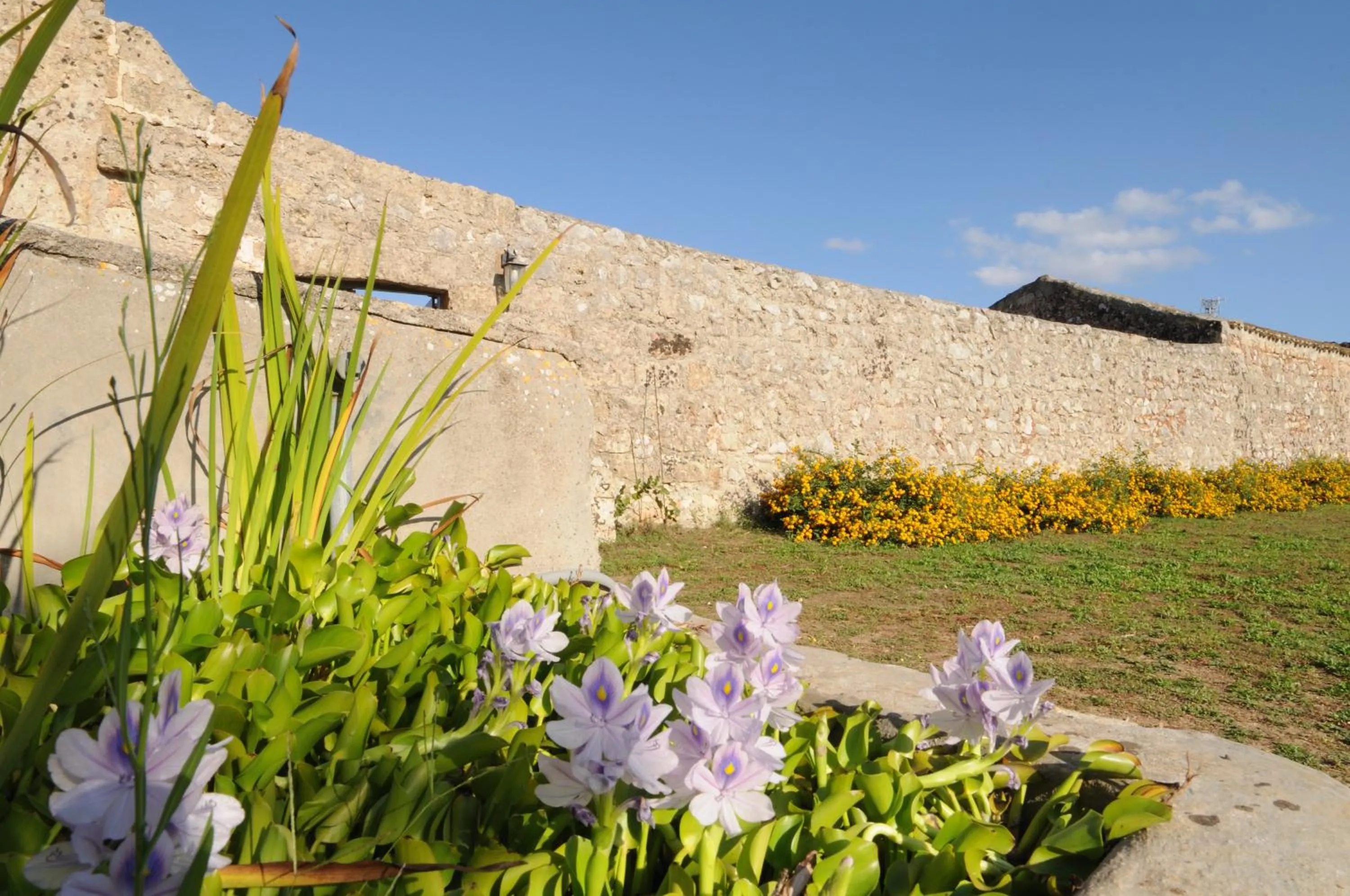 Facade/entrance in Masseria Uccio