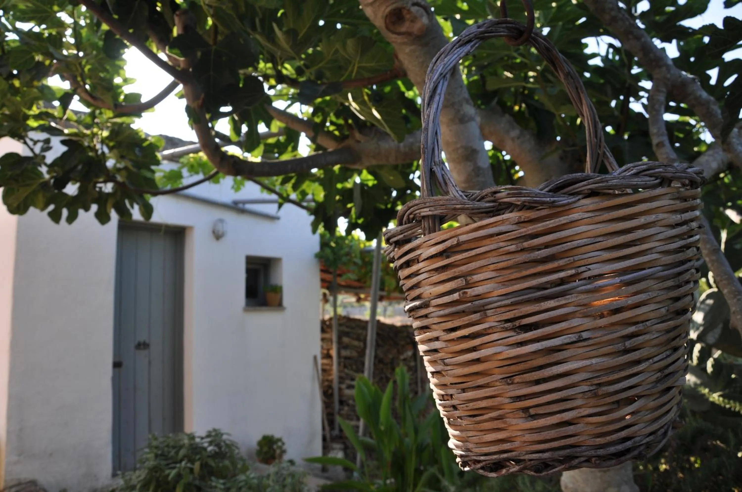 Property building in Masseria Uccio