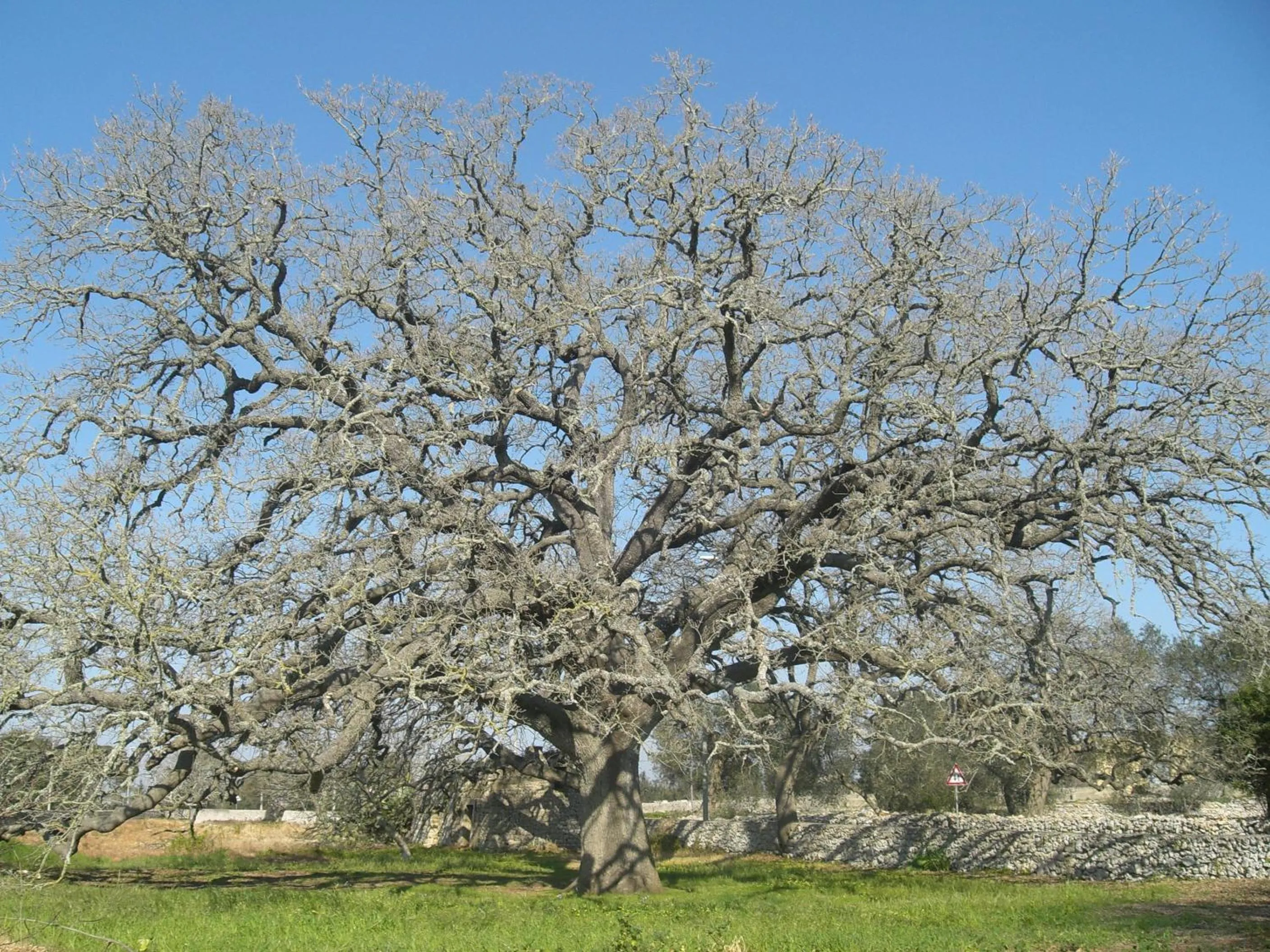 Nearby landmark in Masseria Uccio