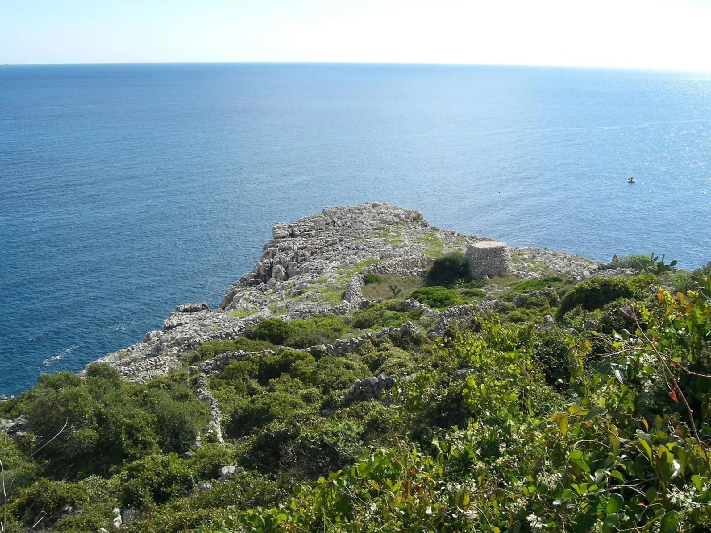 Other in Masseria Uccio