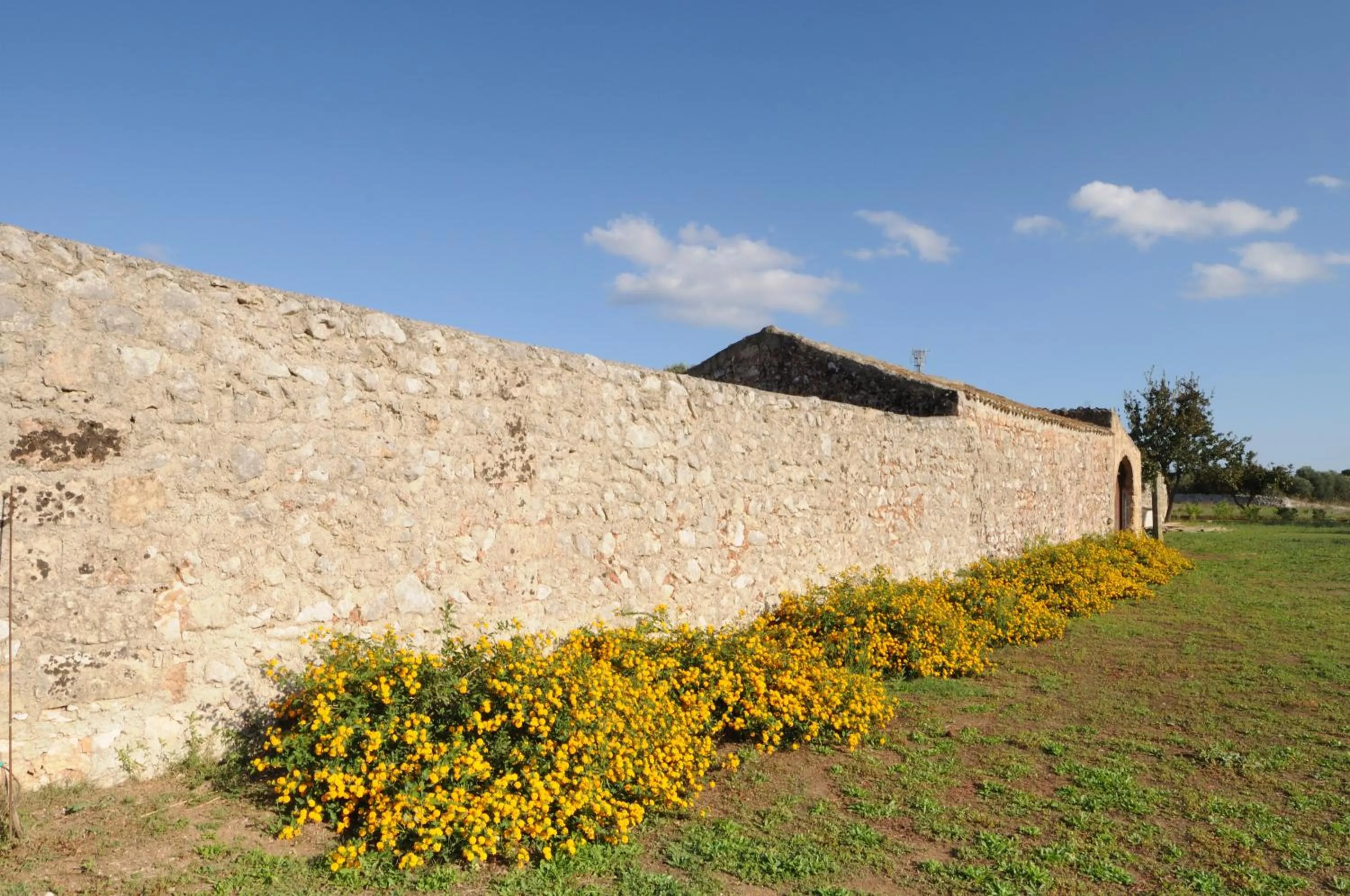 Property building in Masseria Uccio