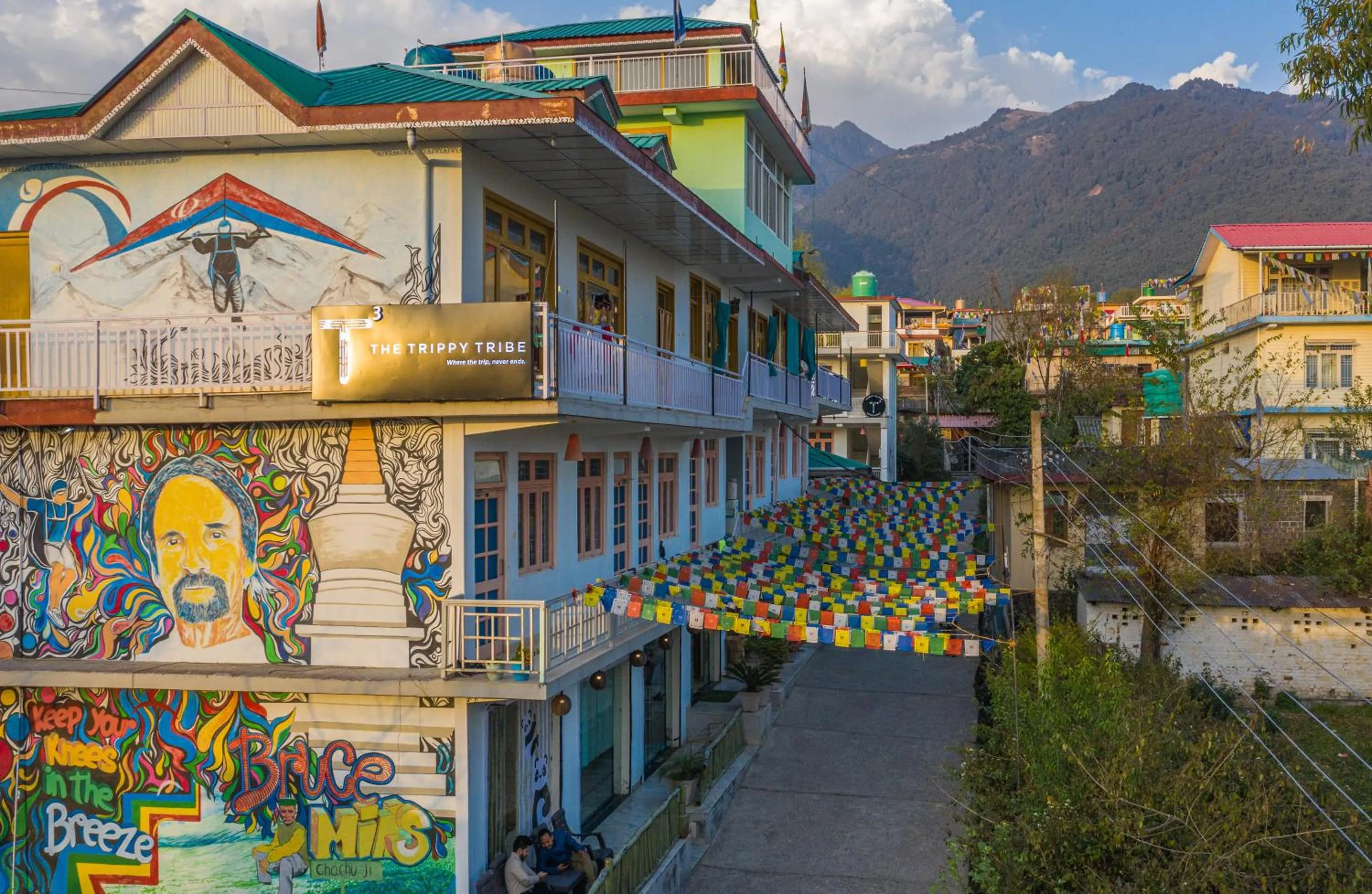 Property building in The Trippy Tribe