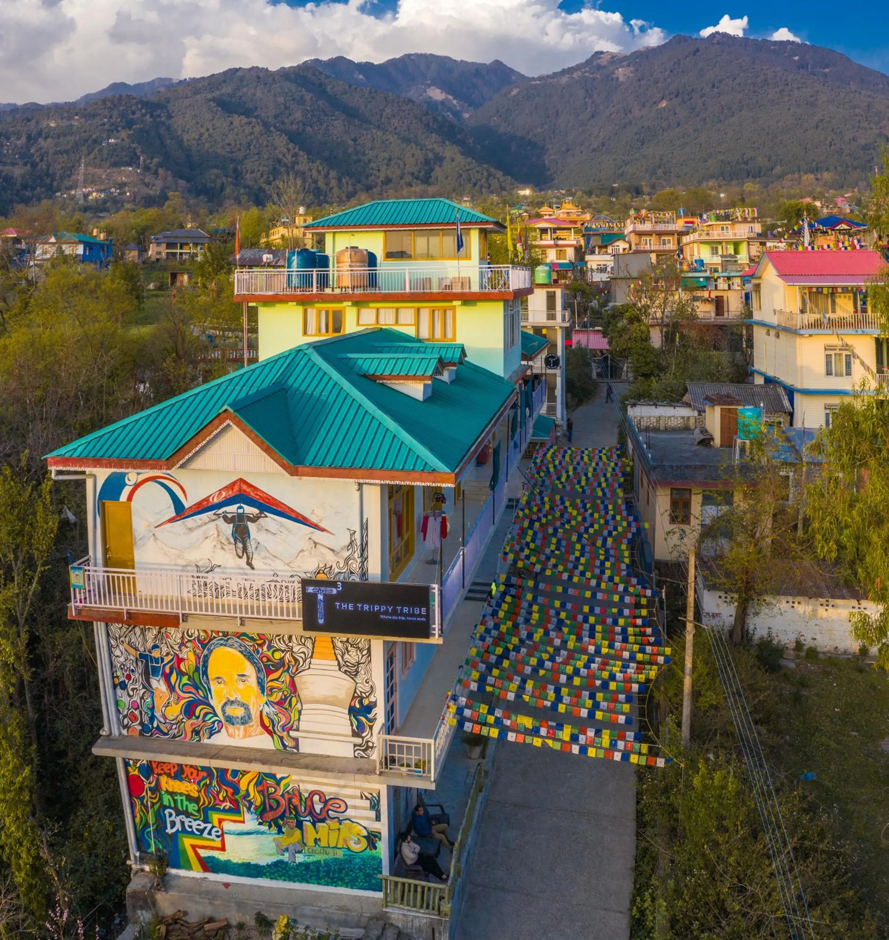 Property building in The Trippy Tribe