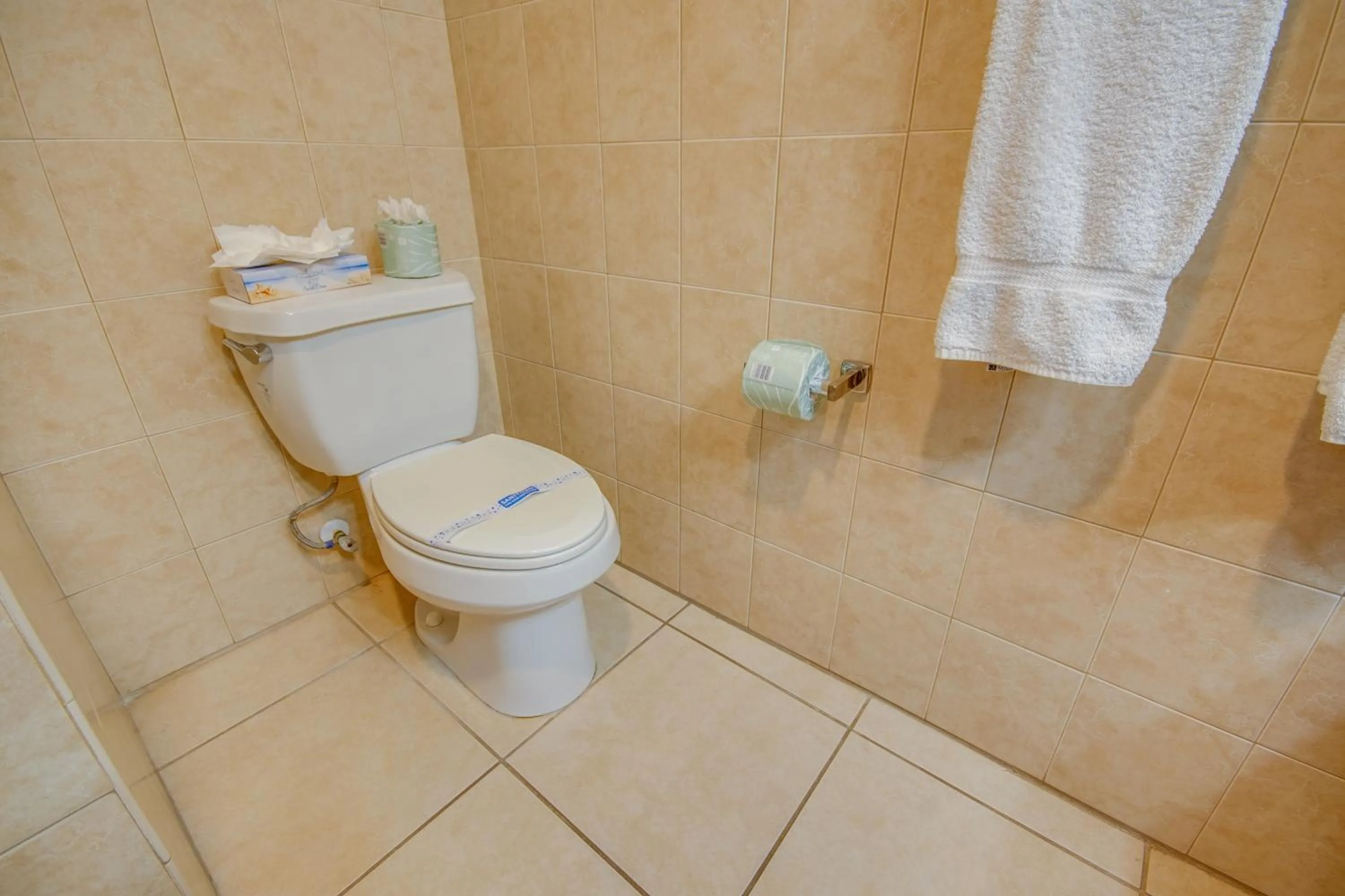 Toilet in Americana Condos 10th street