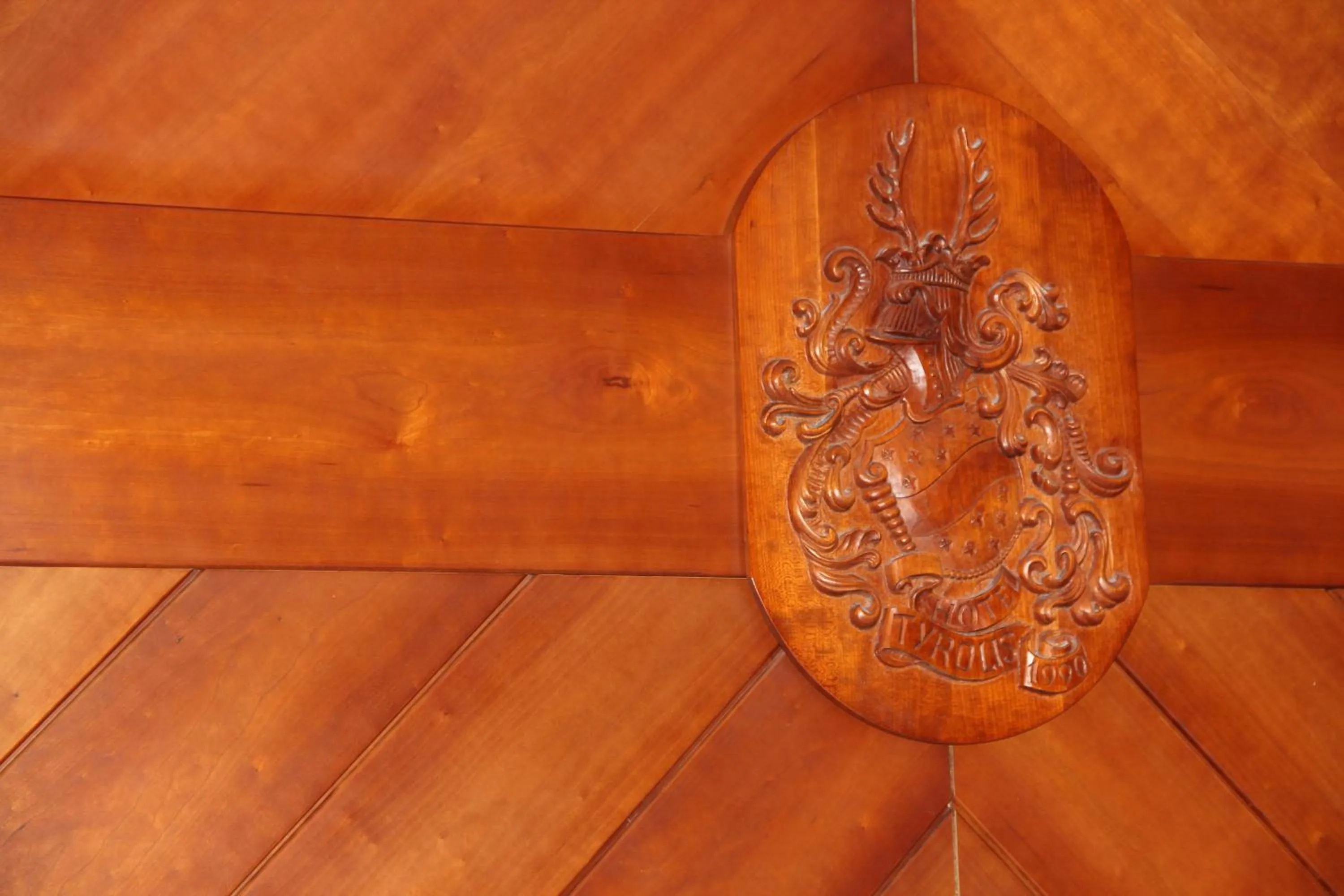 Property logo or sign in Hotel Tyrolis