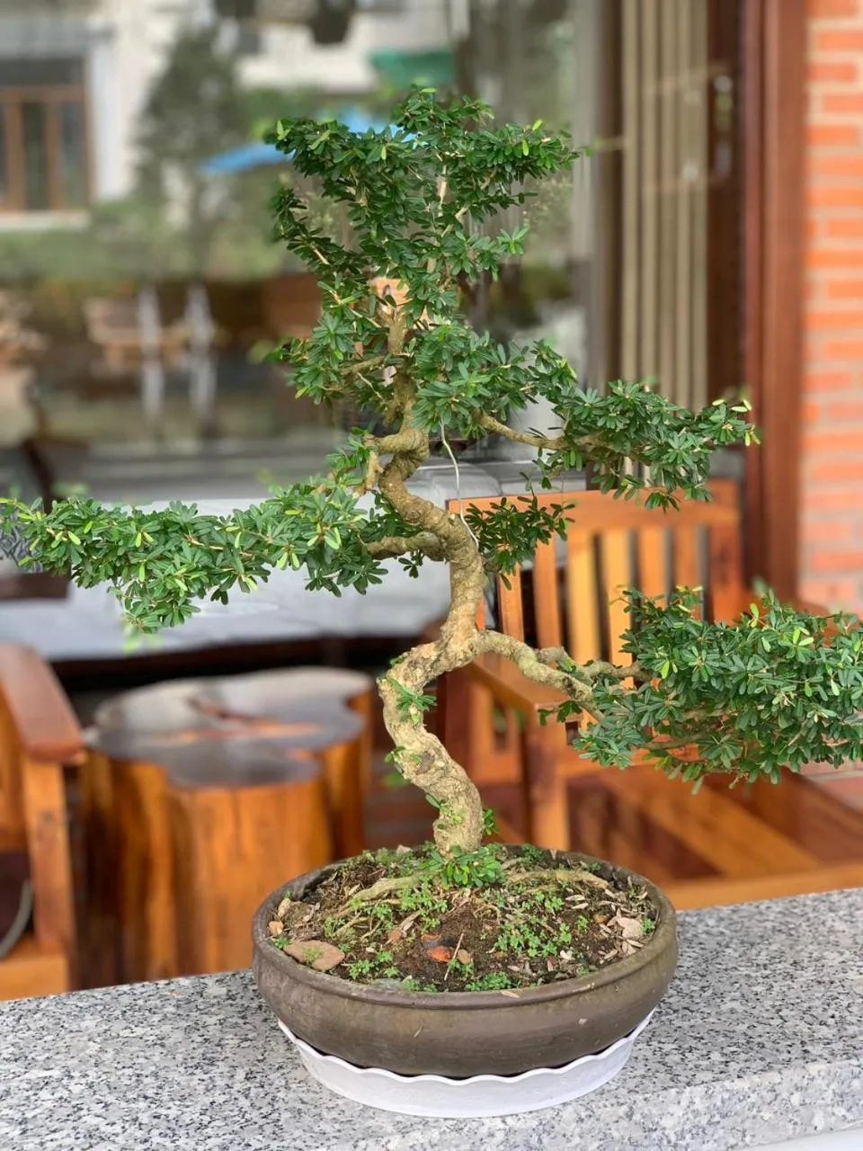 Neighbourhood in The Landing Resort