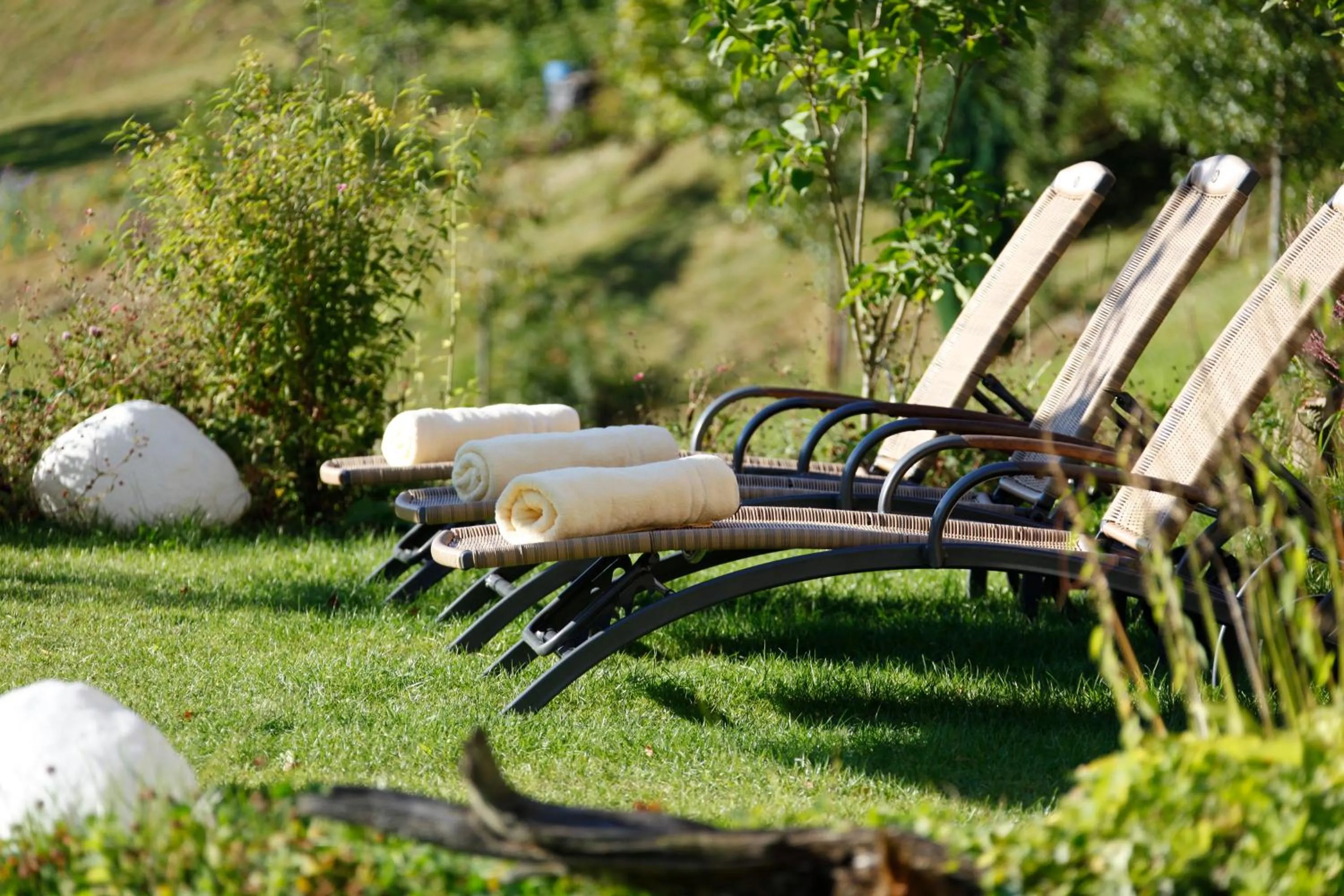 Garden in Wellnesshotel Tanne