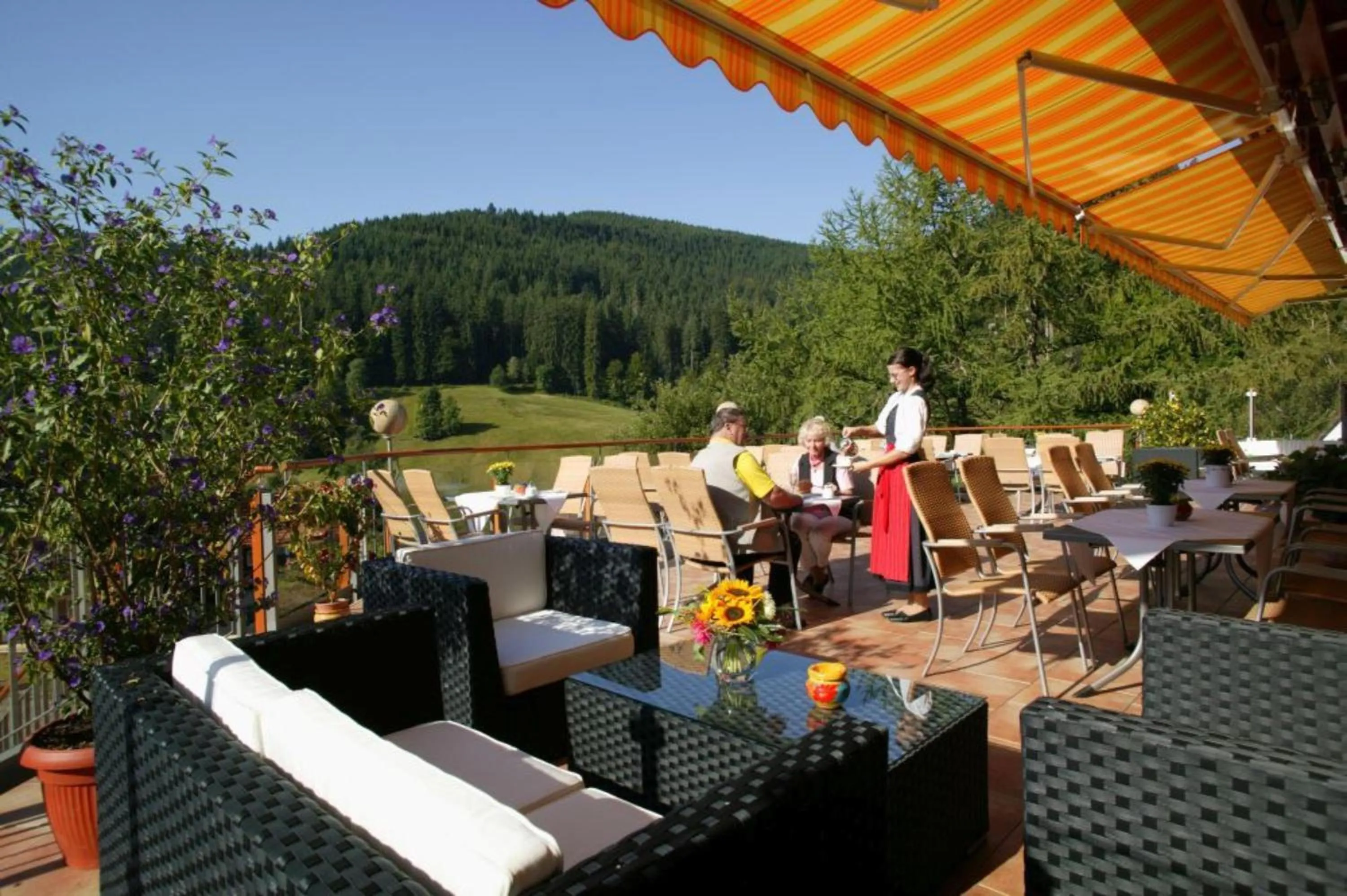 Balcony/Terrace in Wellnesshotel Tanne