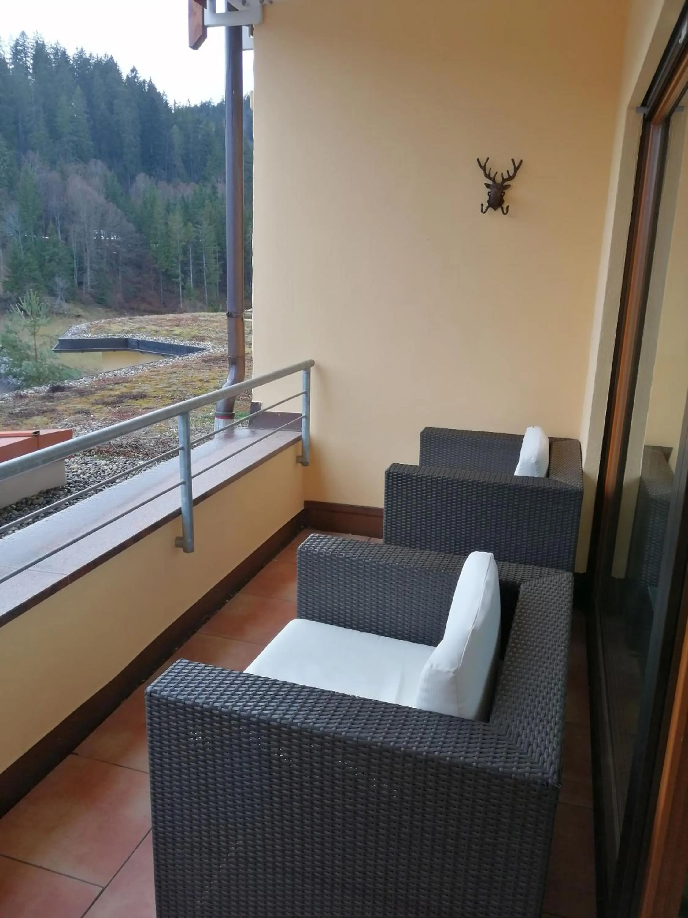 Garden view in Wellnesshotel Tanne