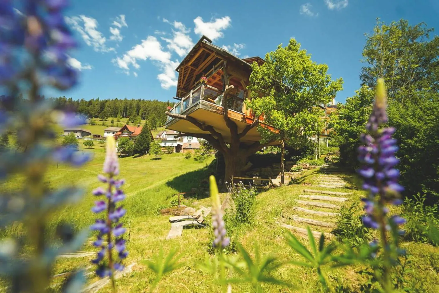 Garden view in Wellnesshotel Tanne