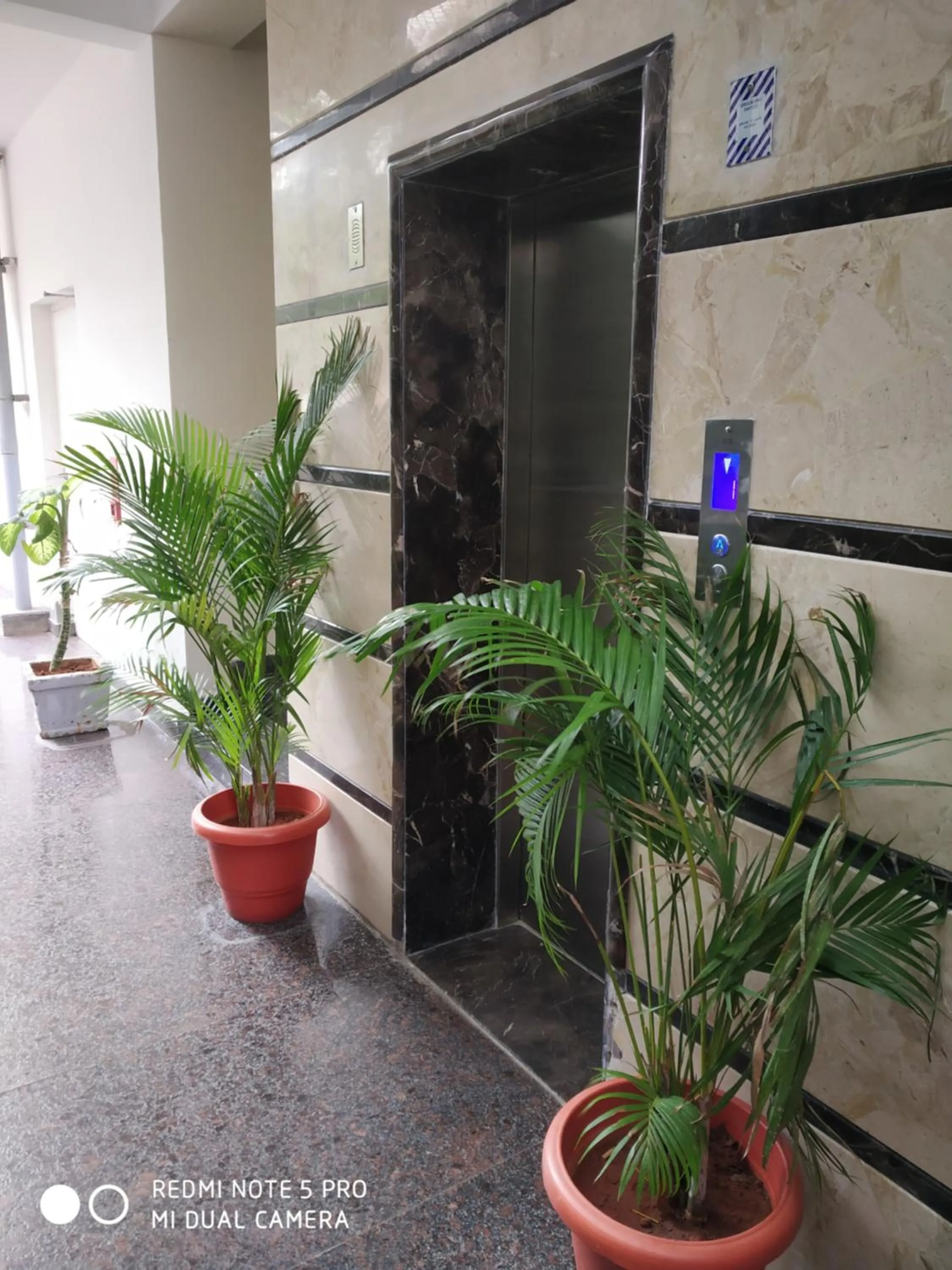 elevator in THE GRAND CORAL