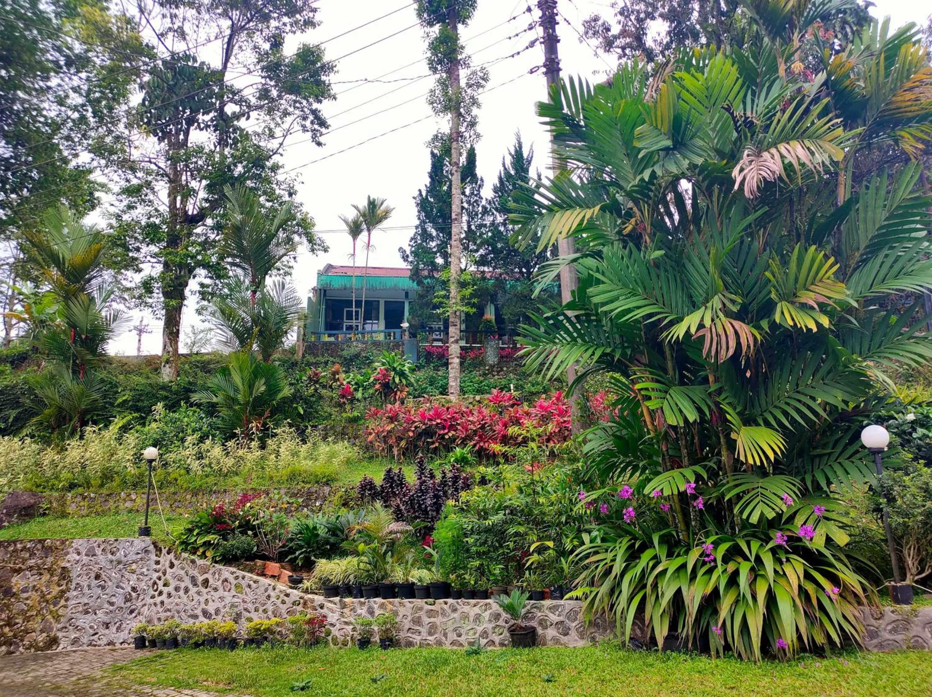 Garden in Hotel Anita Baturaden Mitra RedDoorz