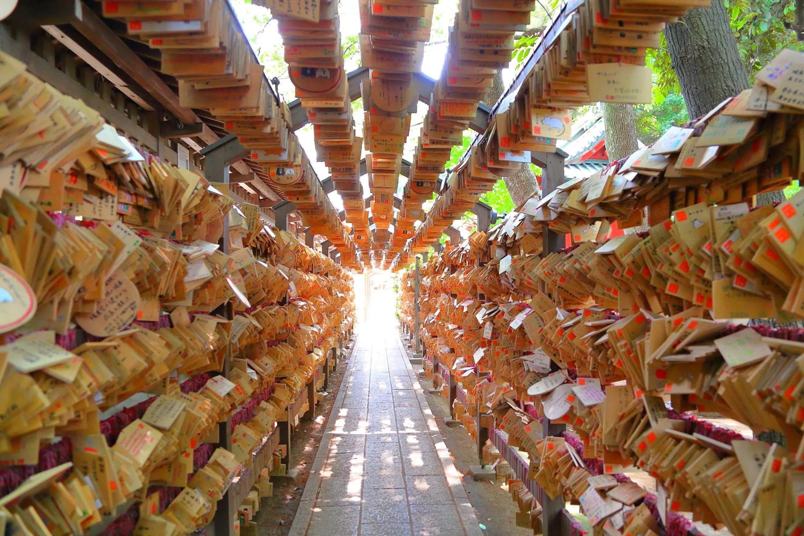 Nearby landmark in Hatago COEDOYA