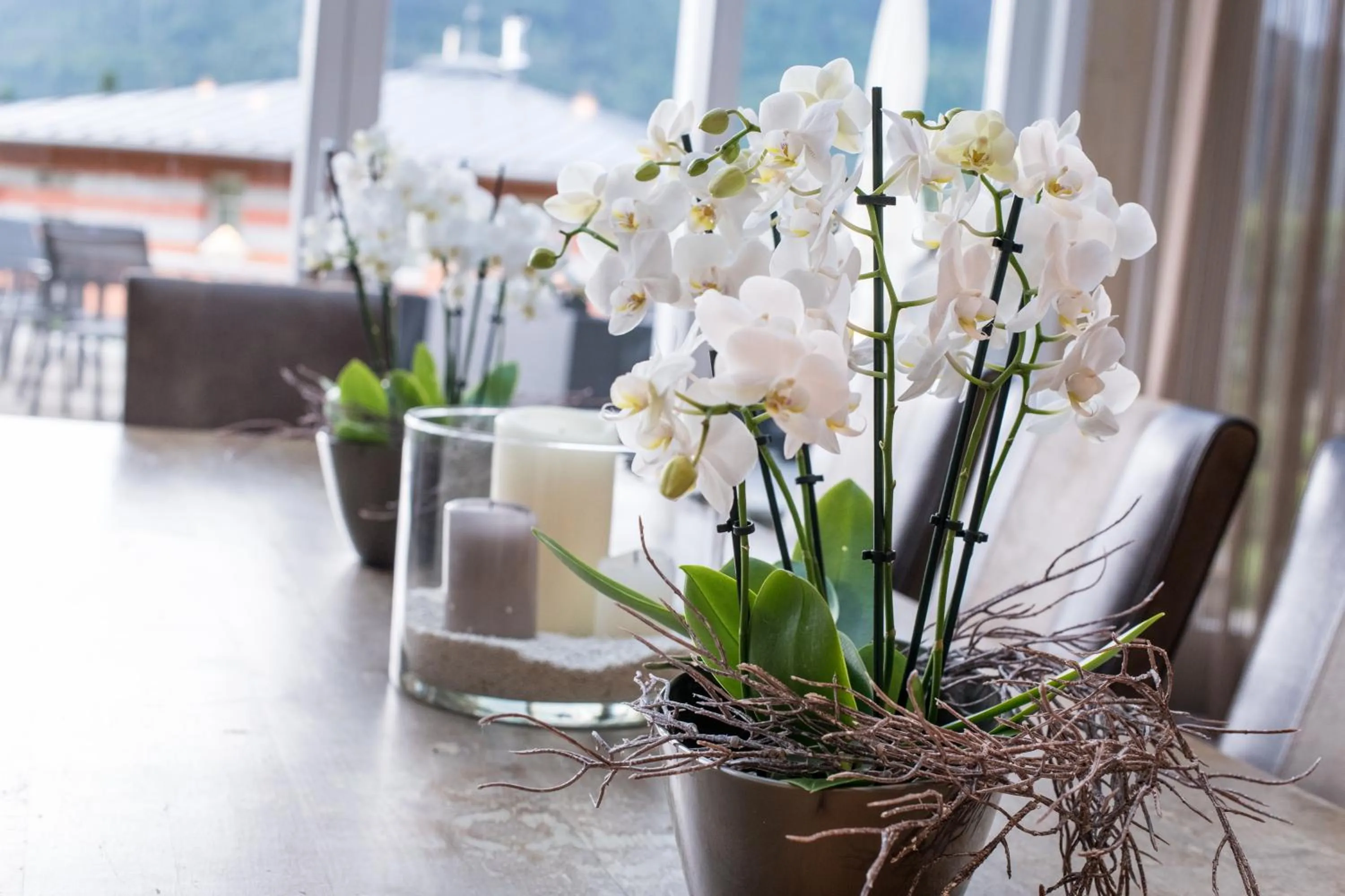 Lust und Laune Hotel am Wörthersee