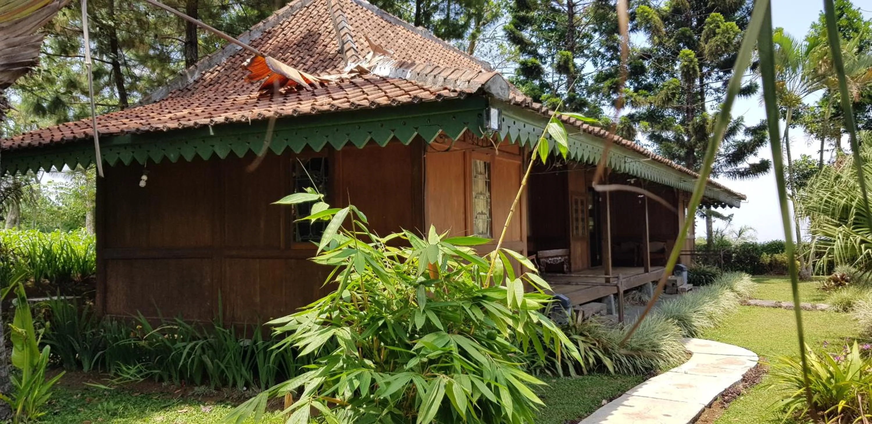 Garden view in Katumbiri Resort