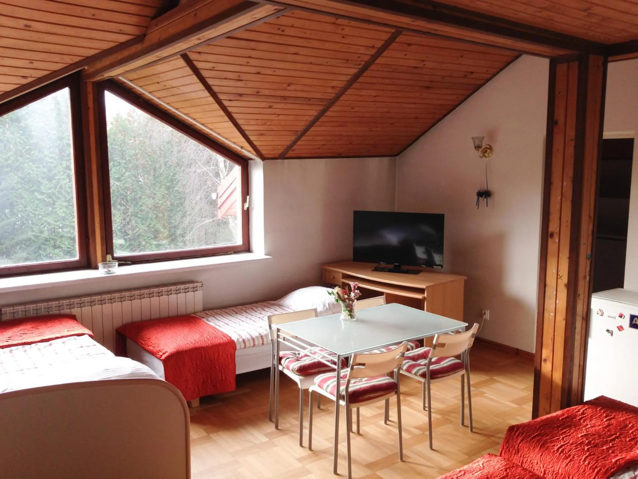 Photo of the whole room, Bed in Green Country Hostel
