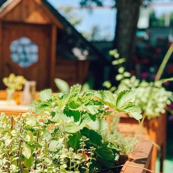 Restaurant/places to eat in Hotel Bayrischer Hof