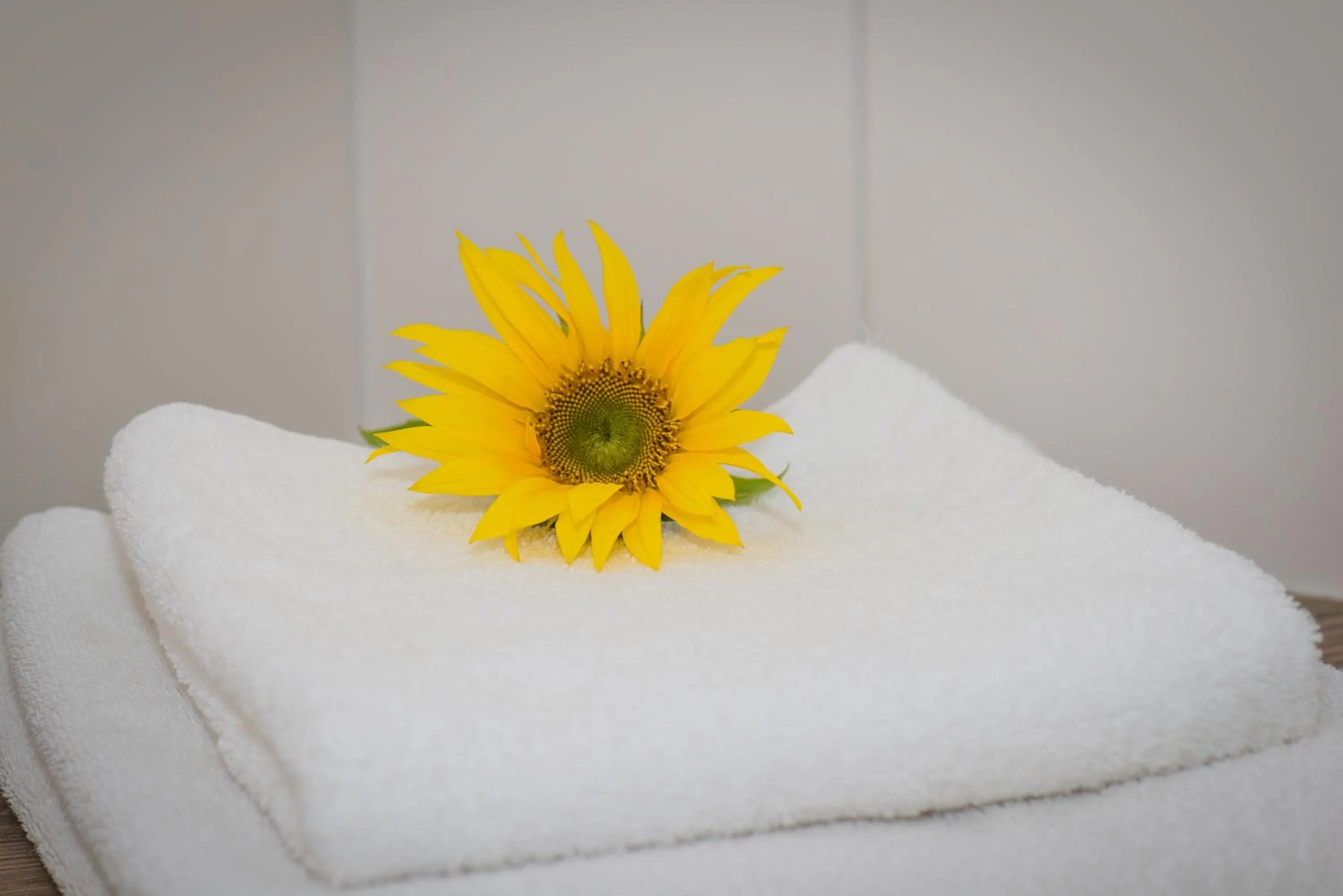 Bathroom, Bed in Hotel Bayrischer Hof