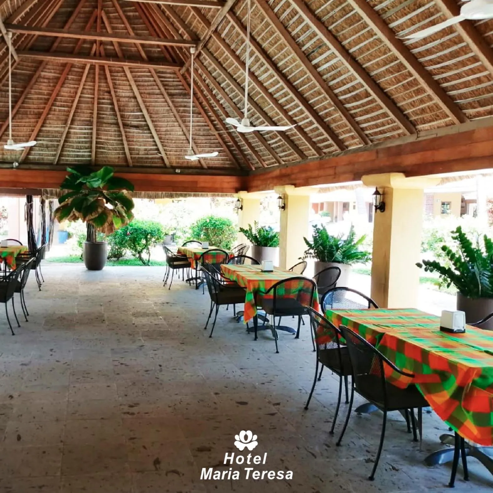 Restaurant/places to eat in HOTEL MARIA TERESA