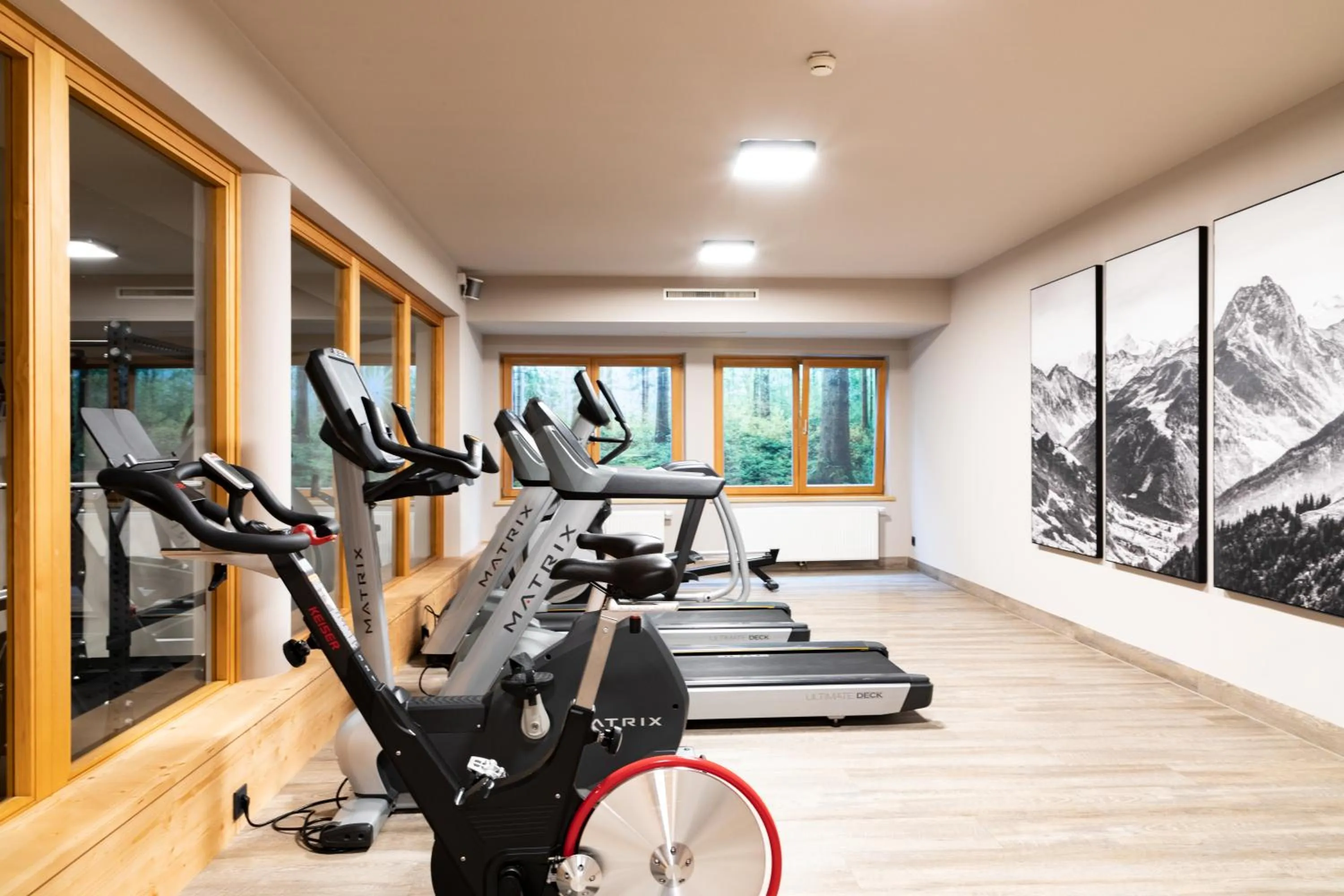 Fitness centre/facilities in Hotel & Spa Sonne 4 Sterne Superior