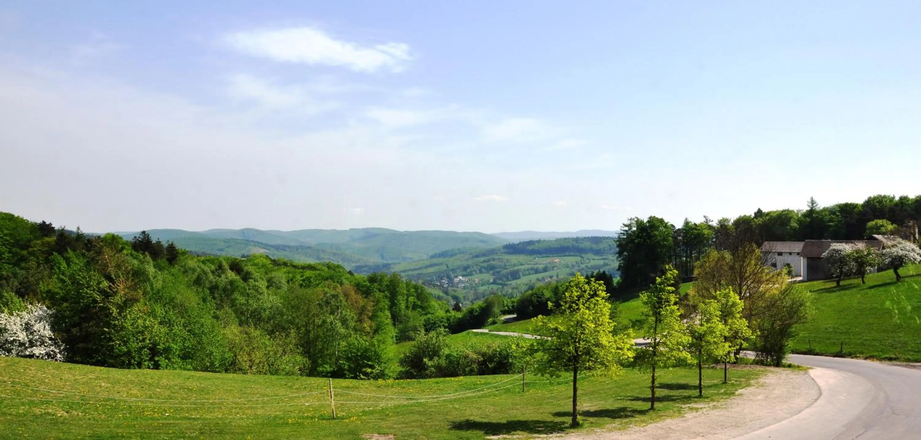 Spring in Wienerwaldhof Rieger