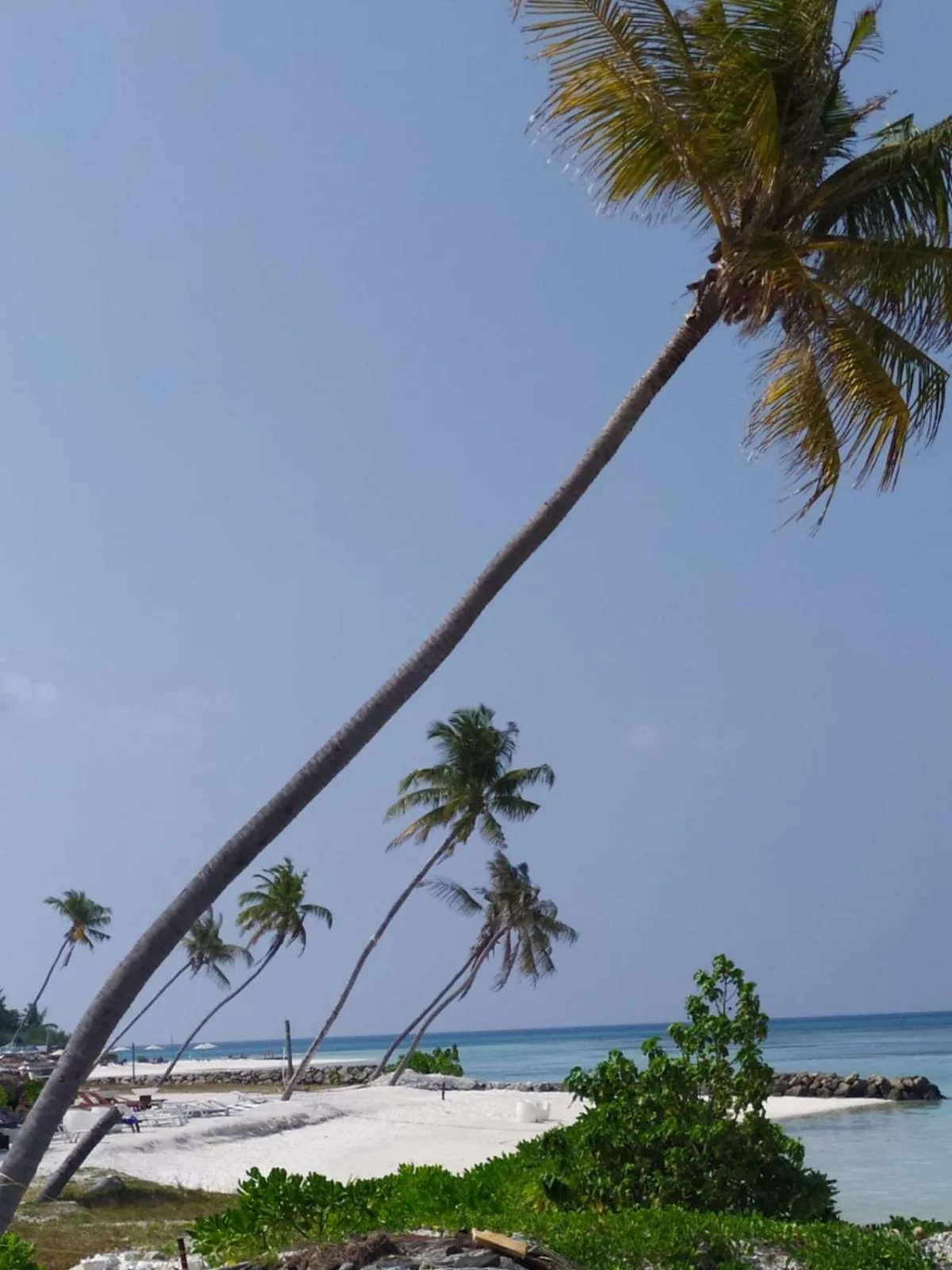 Beach in Courtyard Maldives