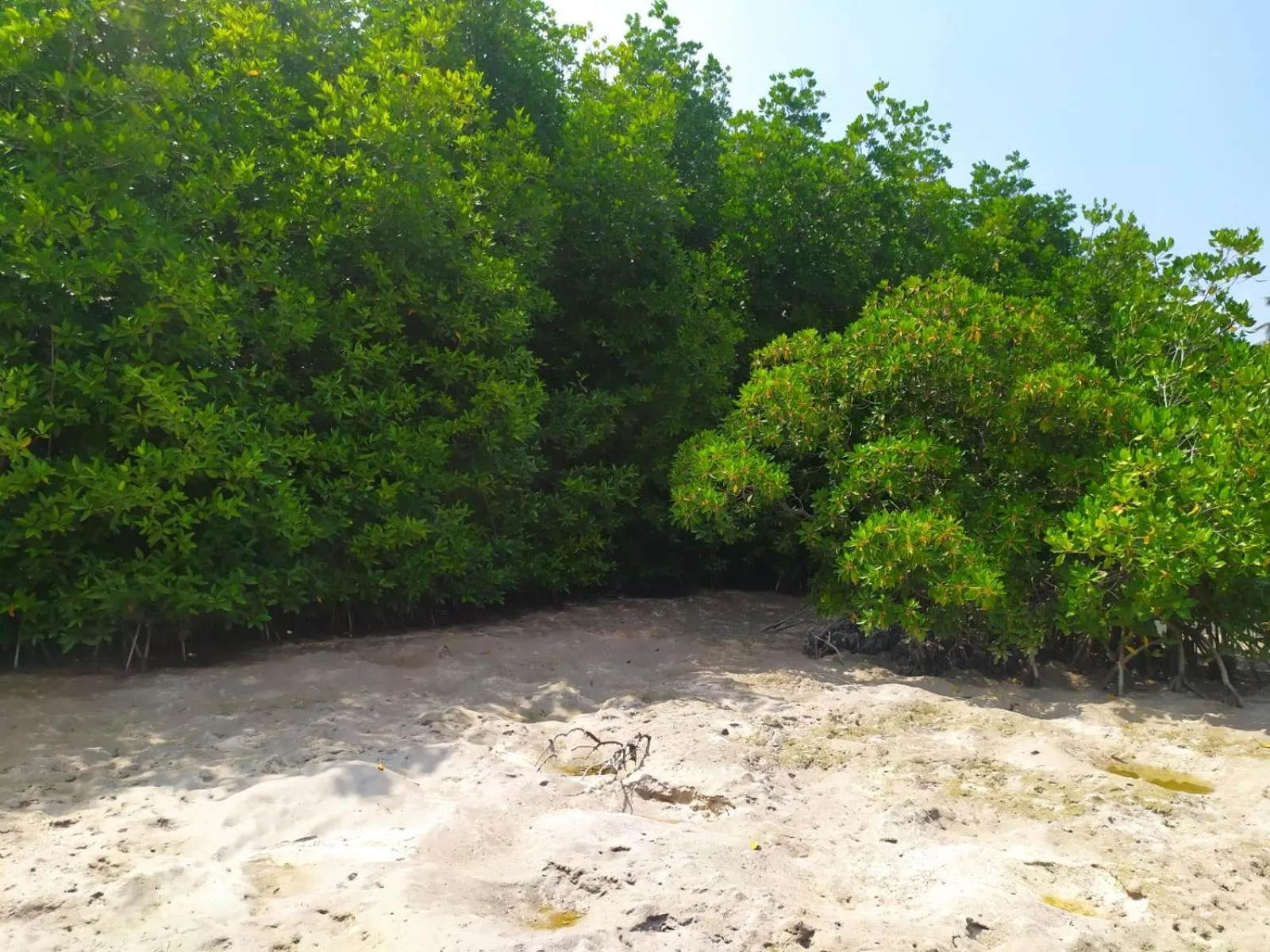Day in Courtyard Maldives