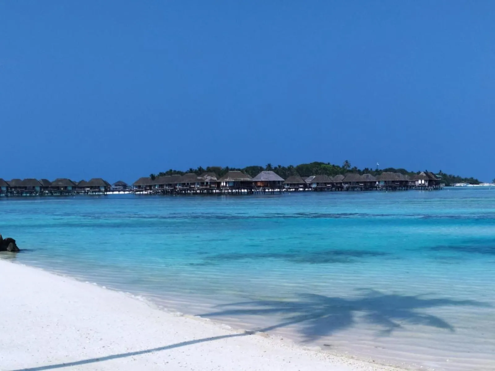 Beach in Courtyard Maldives