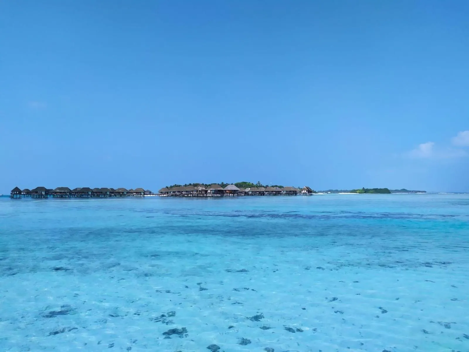 Snorkeling in Courtyard Maldives