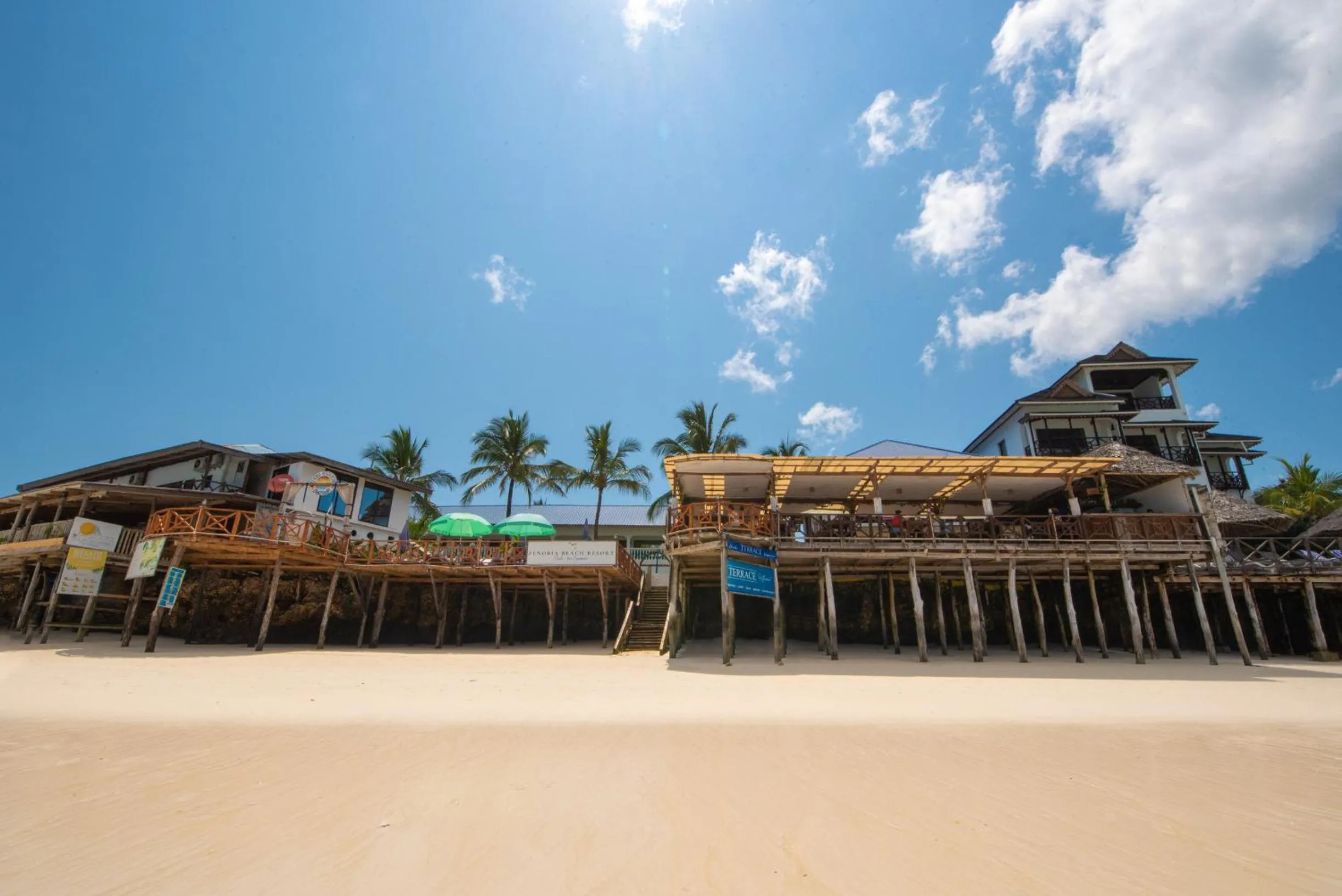 Beach in Zenobia Beach Resort