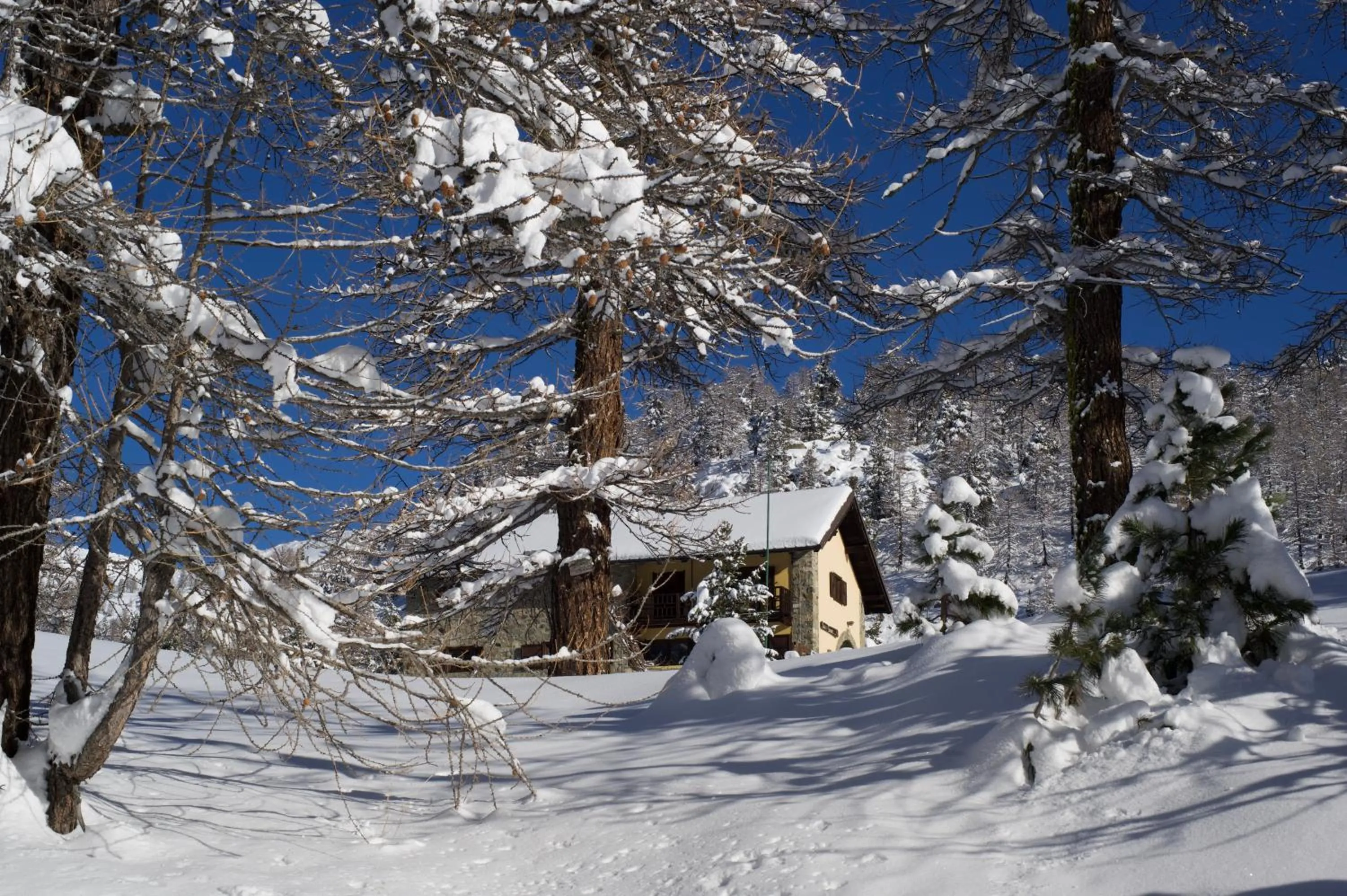 Property building in Rifugio Baita Gimont