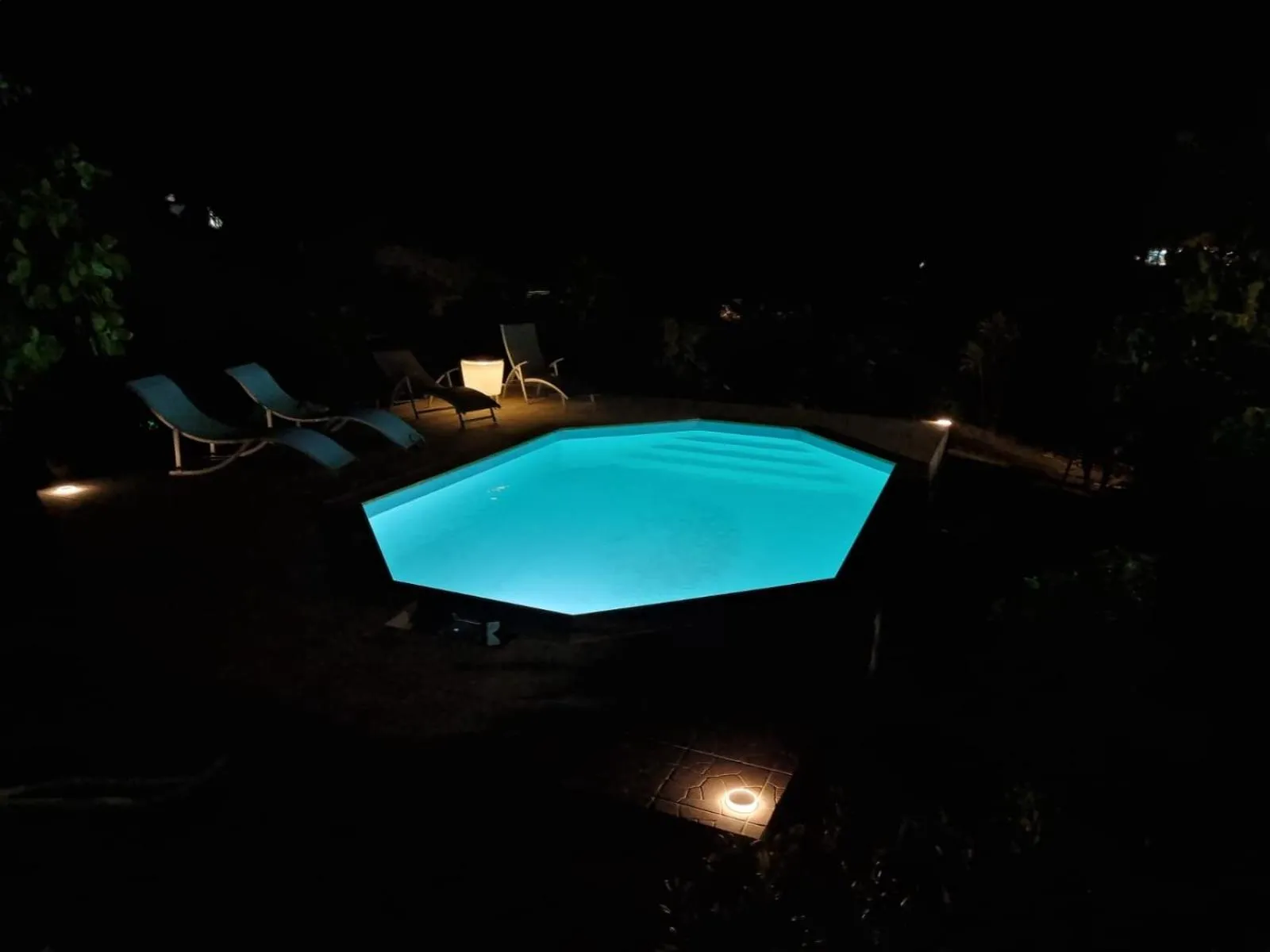 Pool view in La villa les palmiers simplicité convivialité
