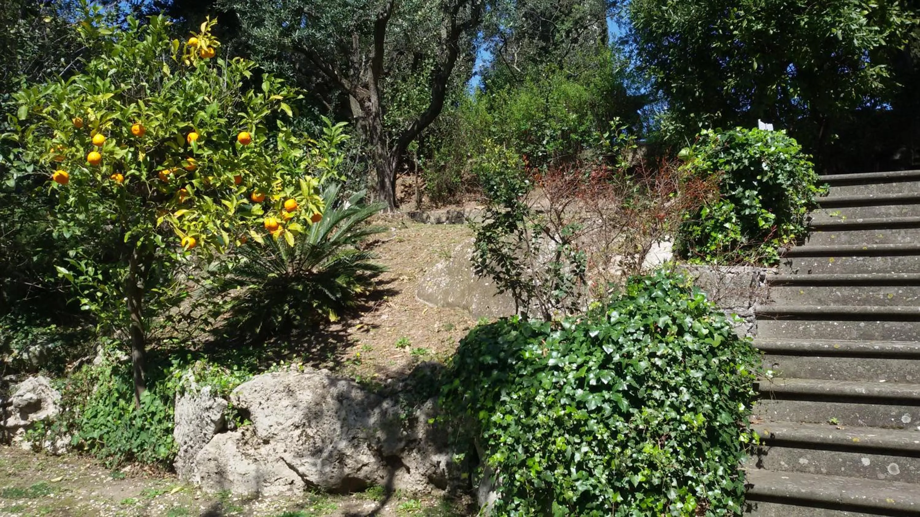 Garden view in La Dolce Casetta
