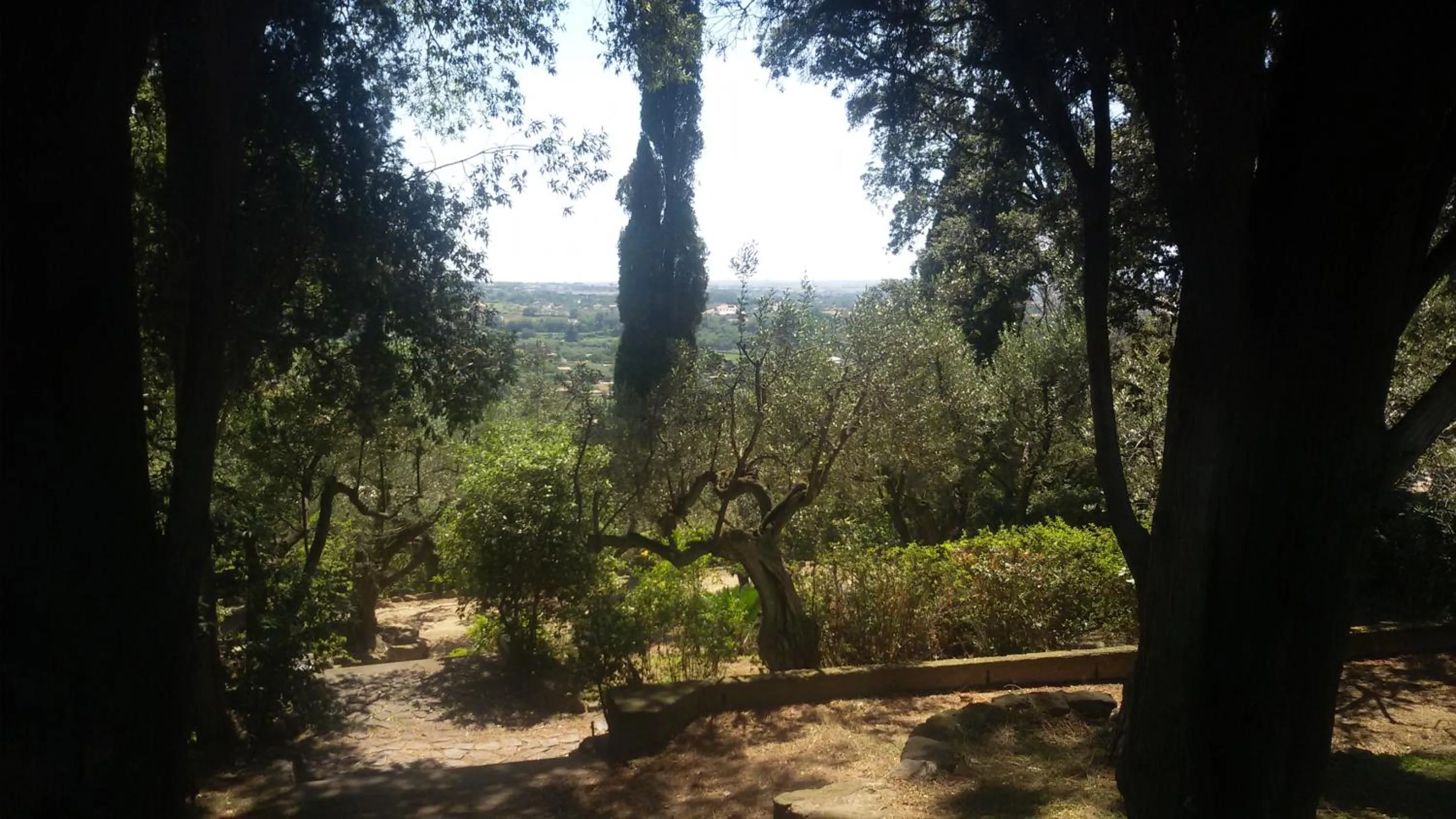 Garden view in La Dolce Casetta