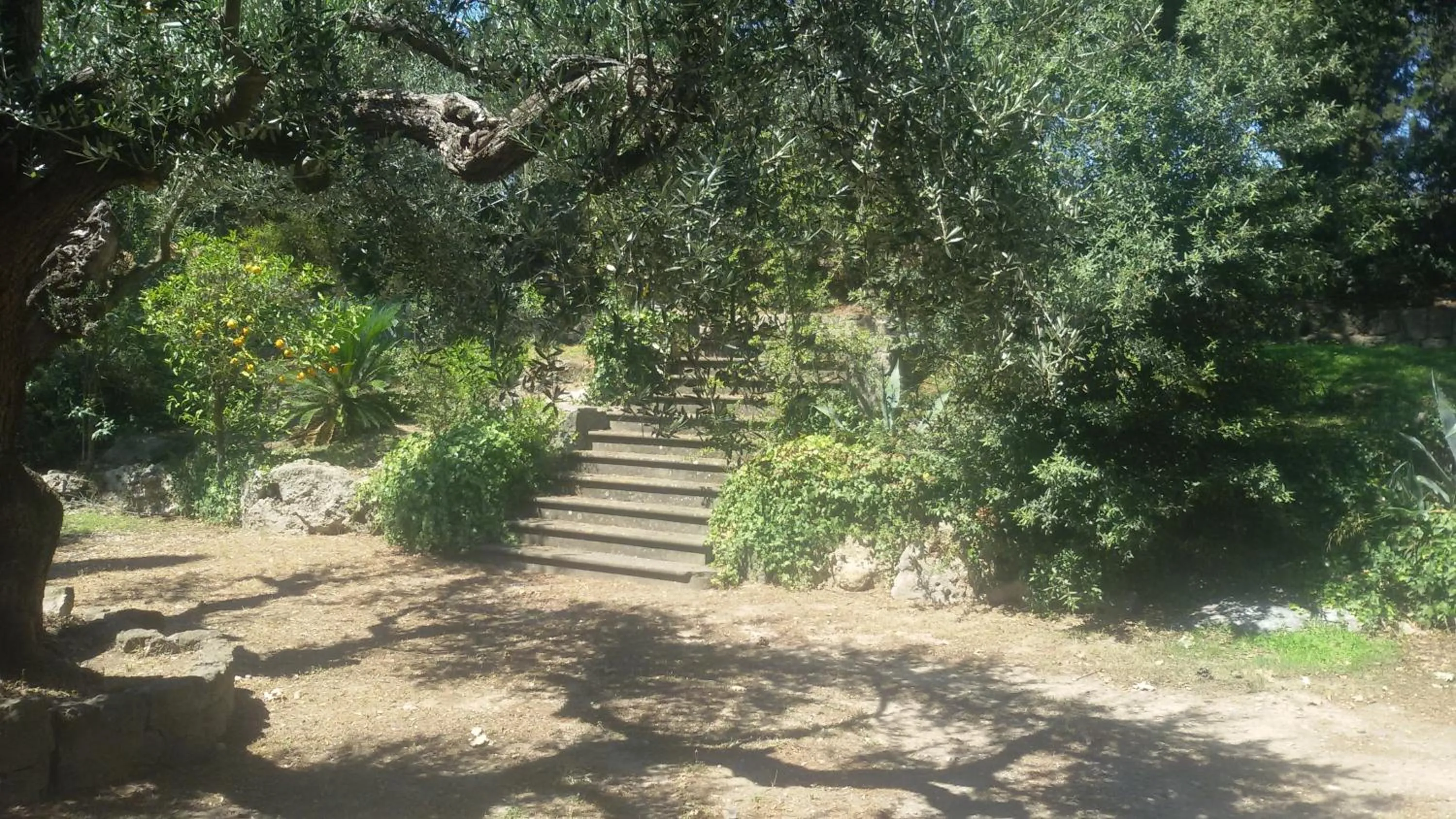 Garden view in La Dolce Casetta