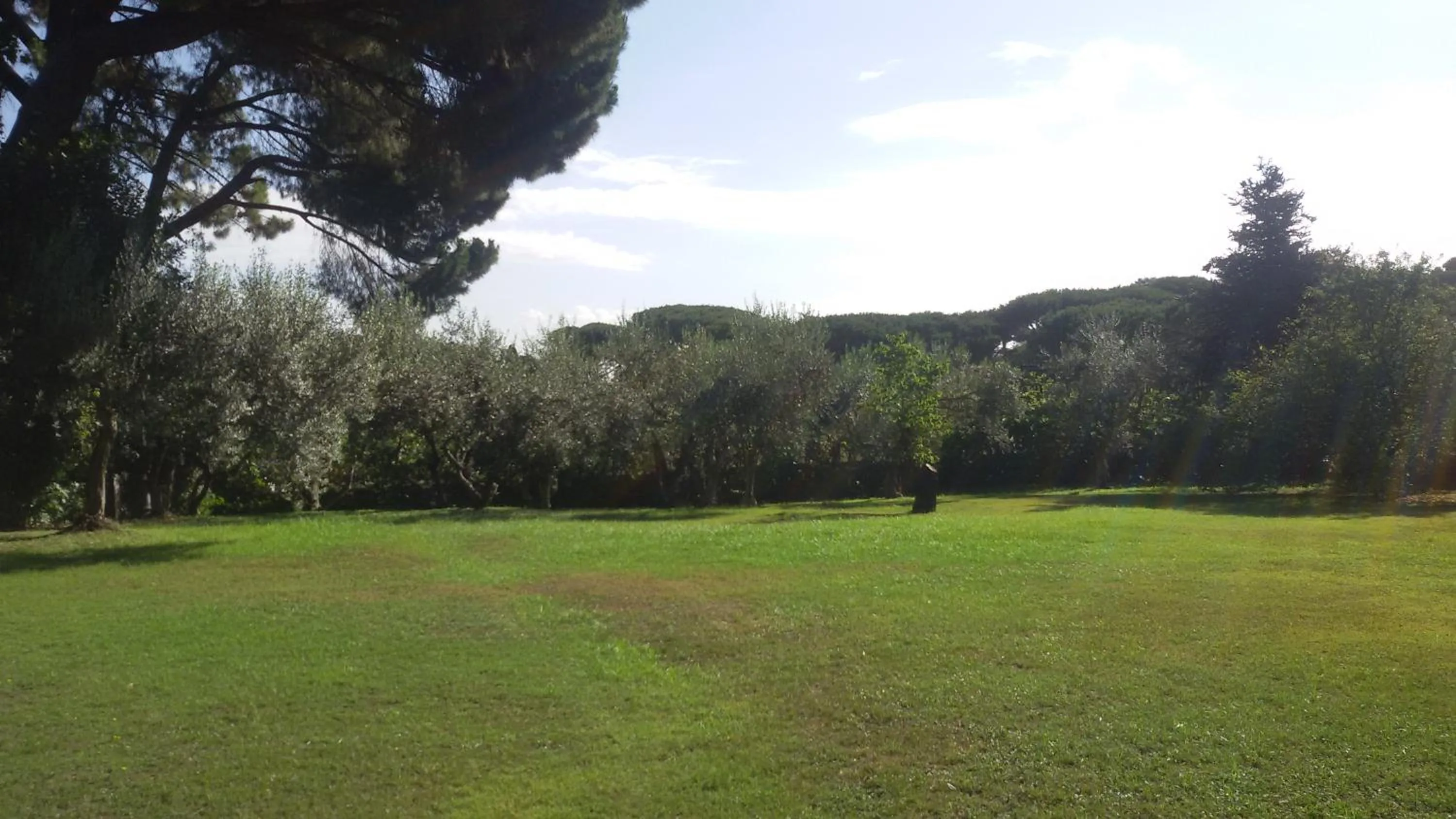 Garden in La Dolce Casetta