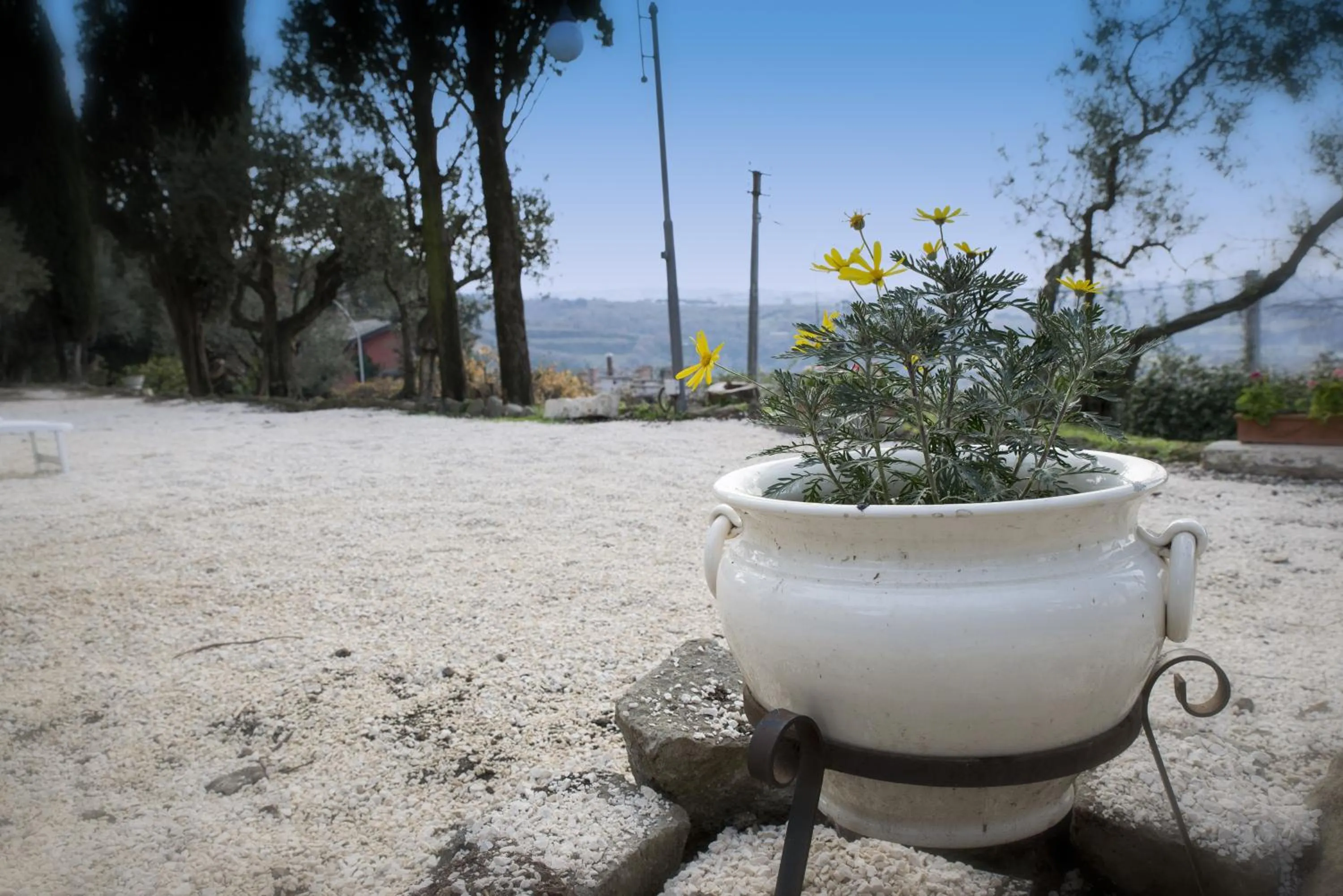 Garden in La Dolce Casetta