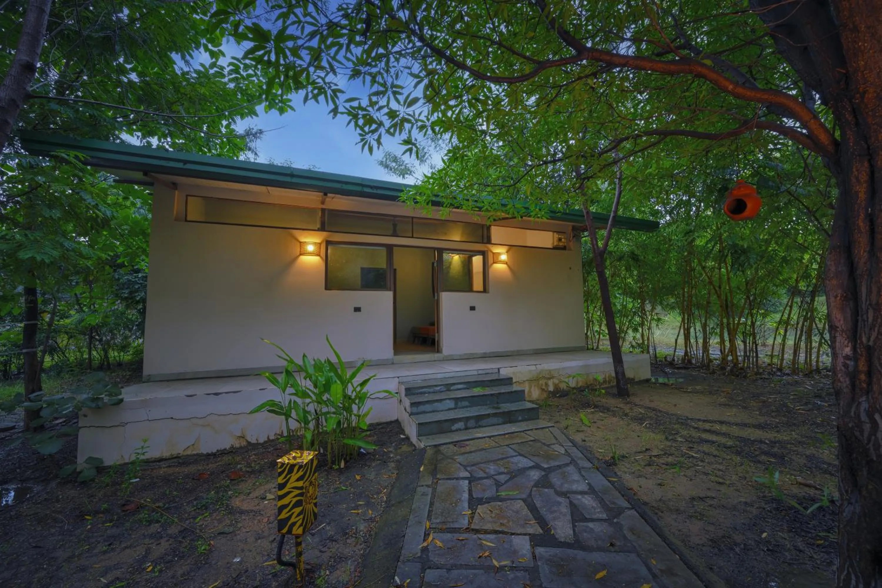 View (from property/room) in Tadoba Jungle Camp